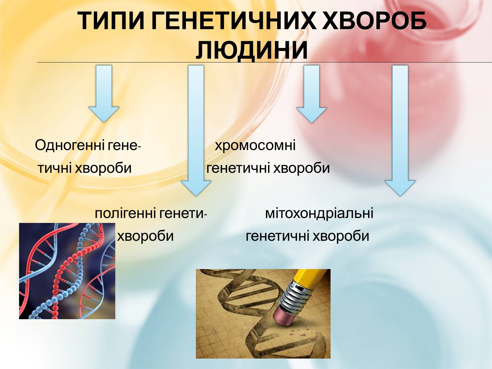 Презентація на тему «Хромосомна теорія спадковості» (варіант 3) - Слайд #7 Презентація на тему «Хромосомна теорія спадковості» (варіант 3) - Слайд #7