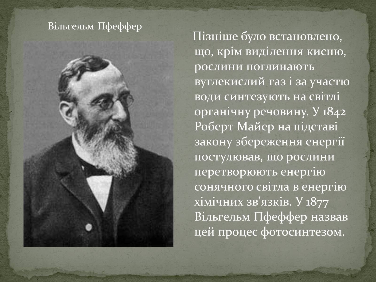 Презентація на тему «Фотосинтез» (варіант 7) - Слайд #10 Презентація на тему «Фотосинтез» (варіант 7) - Слайд #10