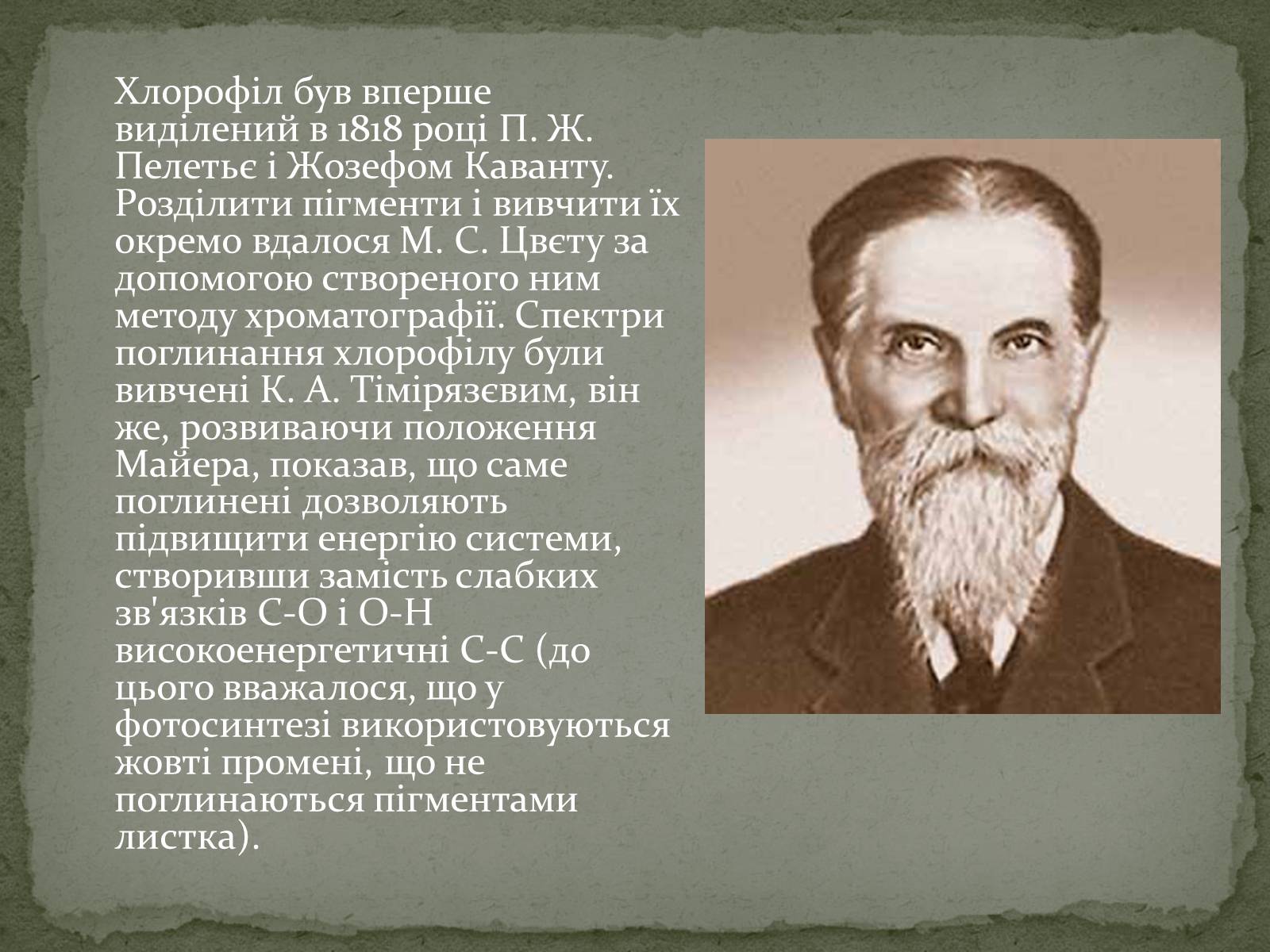 Презентація на тему «Фотосинтез» (варіант 7) - Слайд #11 Презентація на тему «Фотосинтез» (варіант 7) - Слайд #11