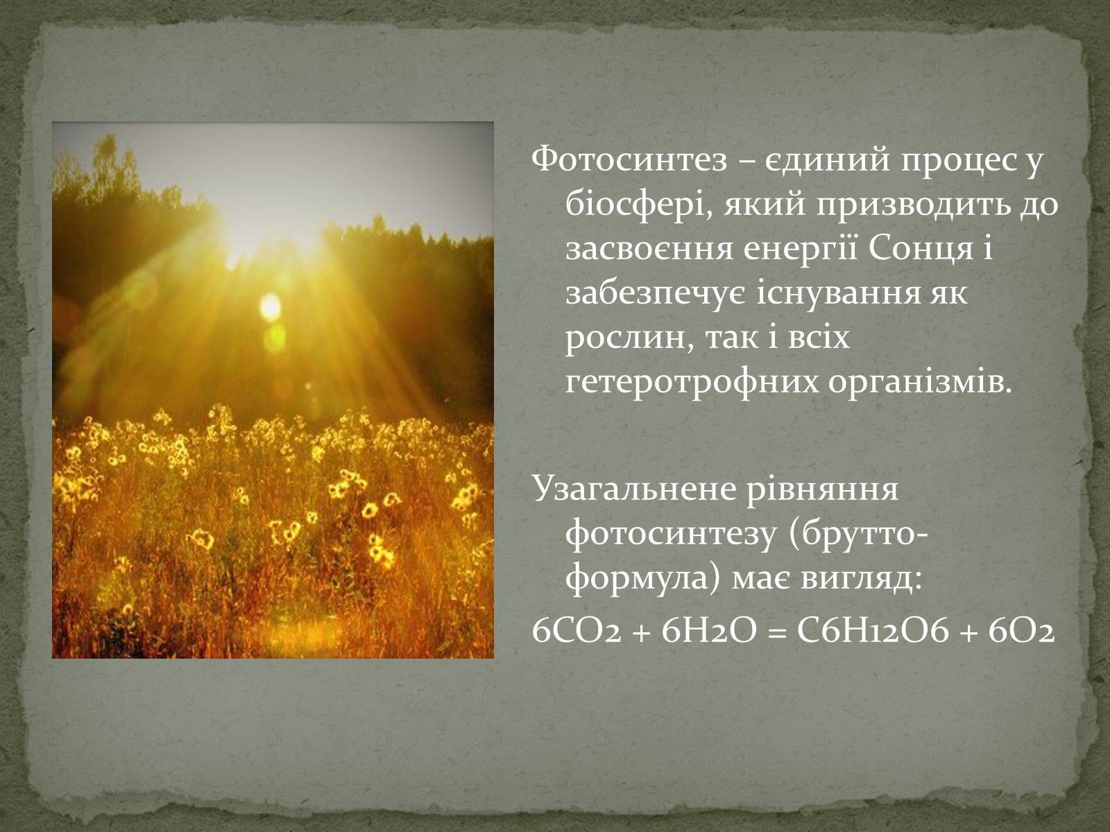 Презентація на тему «Фотосинтез» (варіант 7) - Слайд #3 Презентація на тему «Фотосинтез» (варіант 7) - Слайд #3