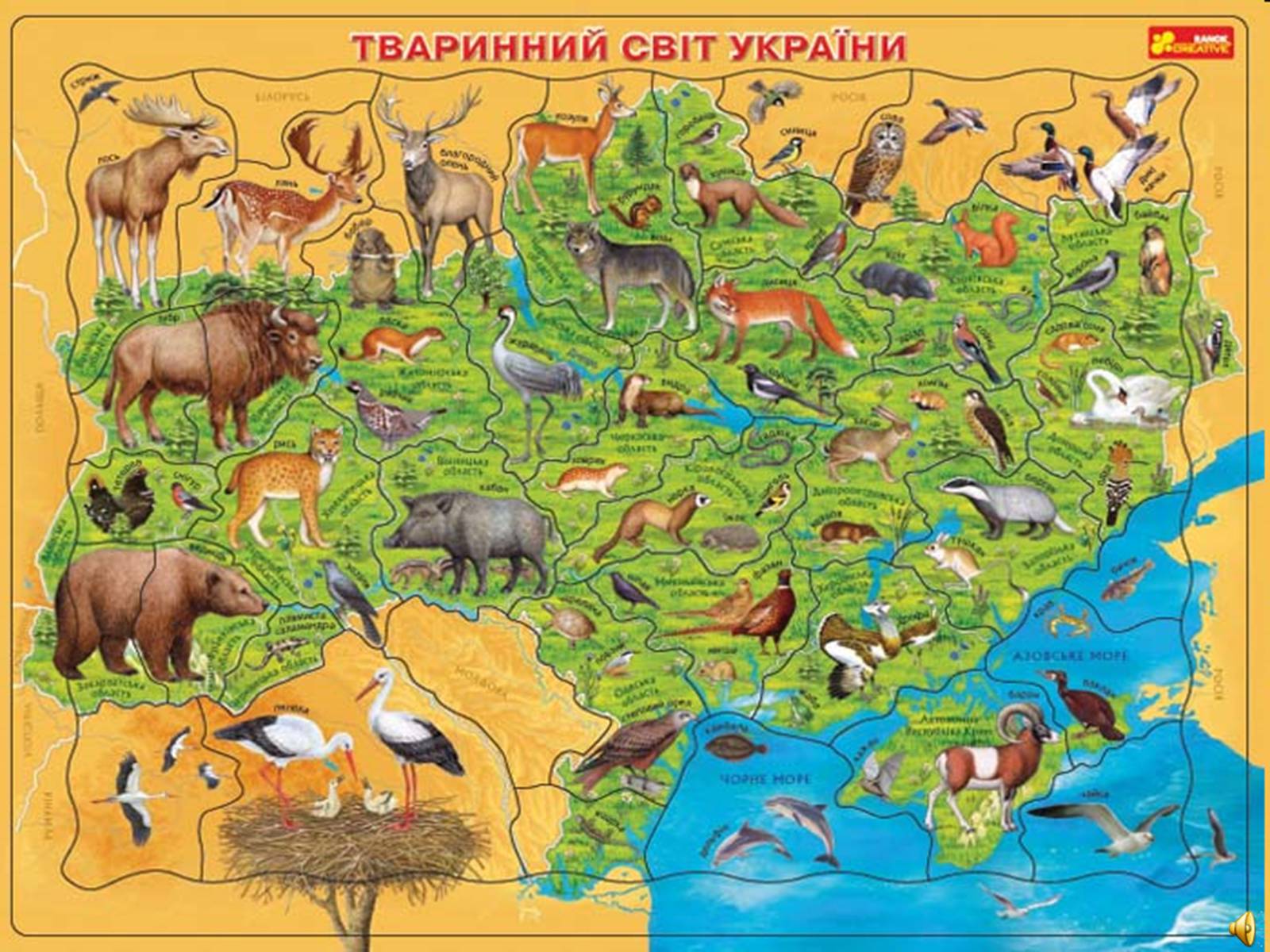 Презентація на тему «Тваринний світ» - Слайд #1 Презентація на тему «Тваринний світ» - Слайд #1