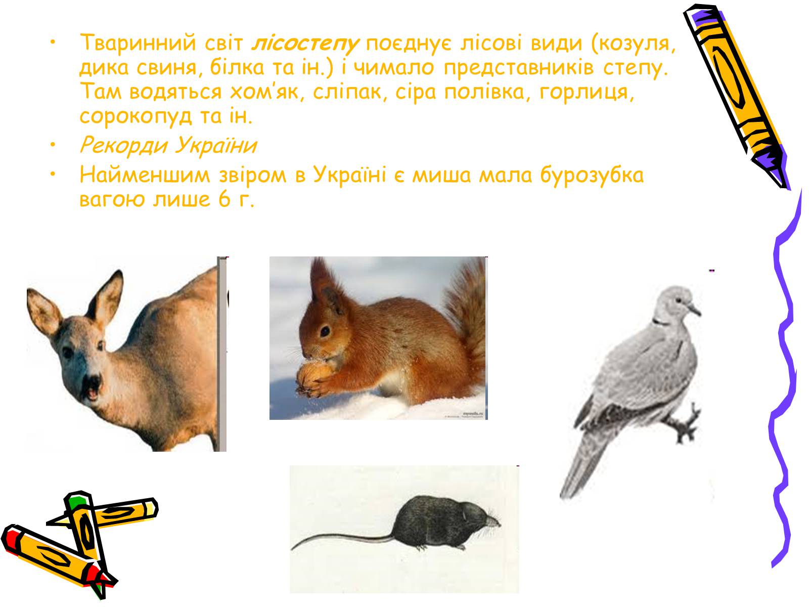 Презентація на тему «Тваринний світ» - Слайд #10 Презентація на тему «Тваринний світ» - Слайд #10
