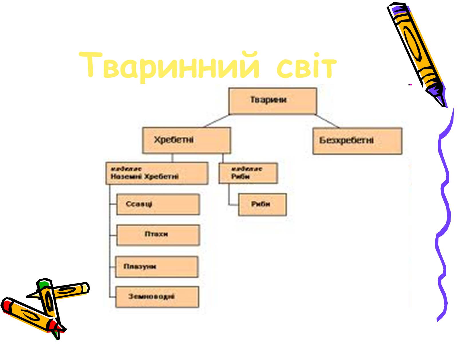 Презентація на тему «Тваринний світ» - Слайд #2 Презентація на тему «Тваринний світ» - Слайд #2