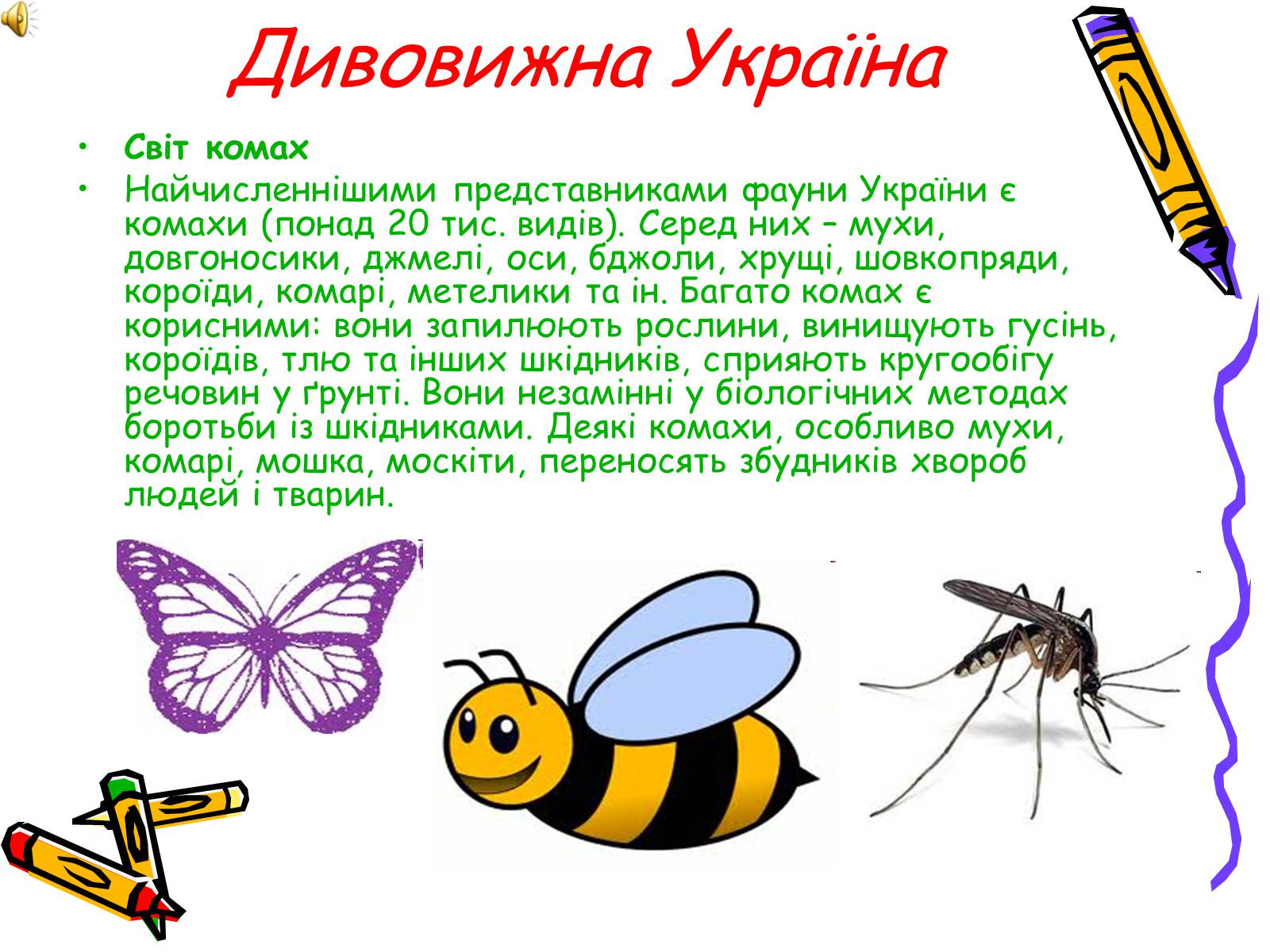 Презентація на тему «Тваринний світ» - Слайд #5 Презентація на тему «Тваринний світ» - Слайд #5