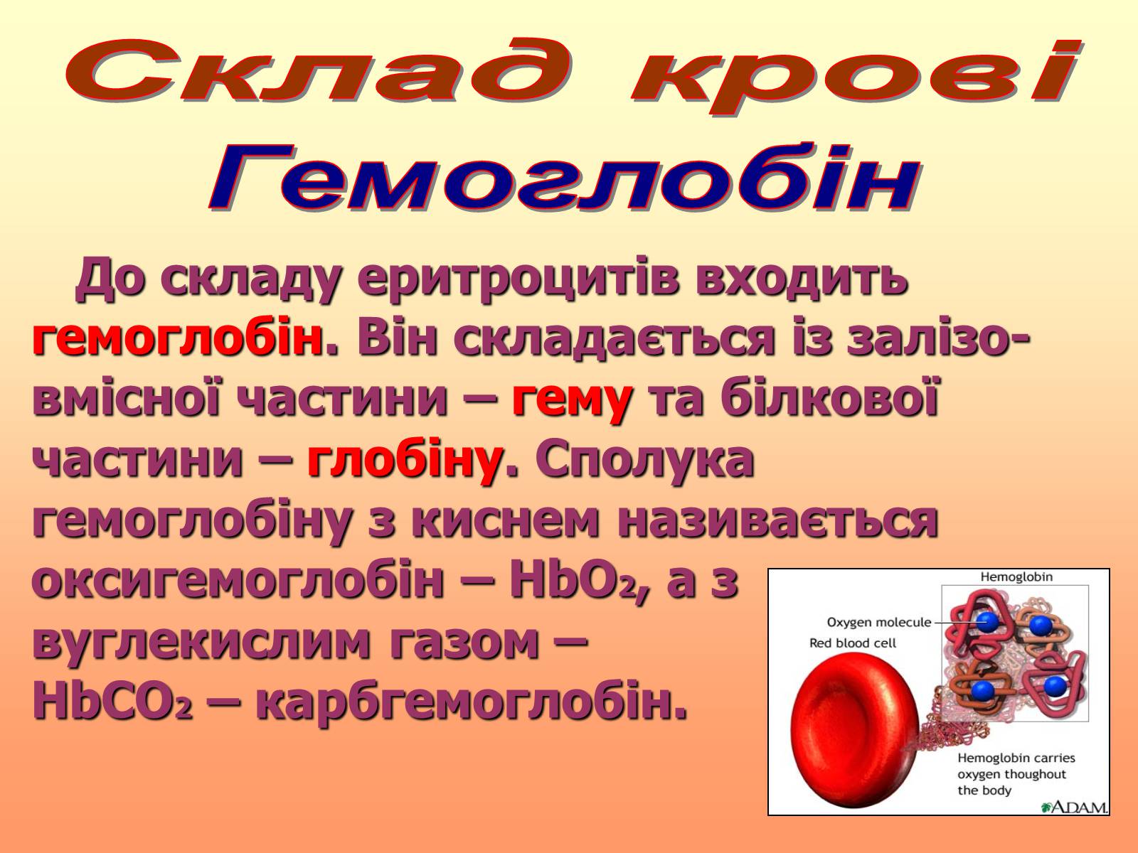 Презентація на тему «Кров» (варіант 1) - Слайд #21 Презентація на тему «Кров» (варіант 1) - Слайд #21