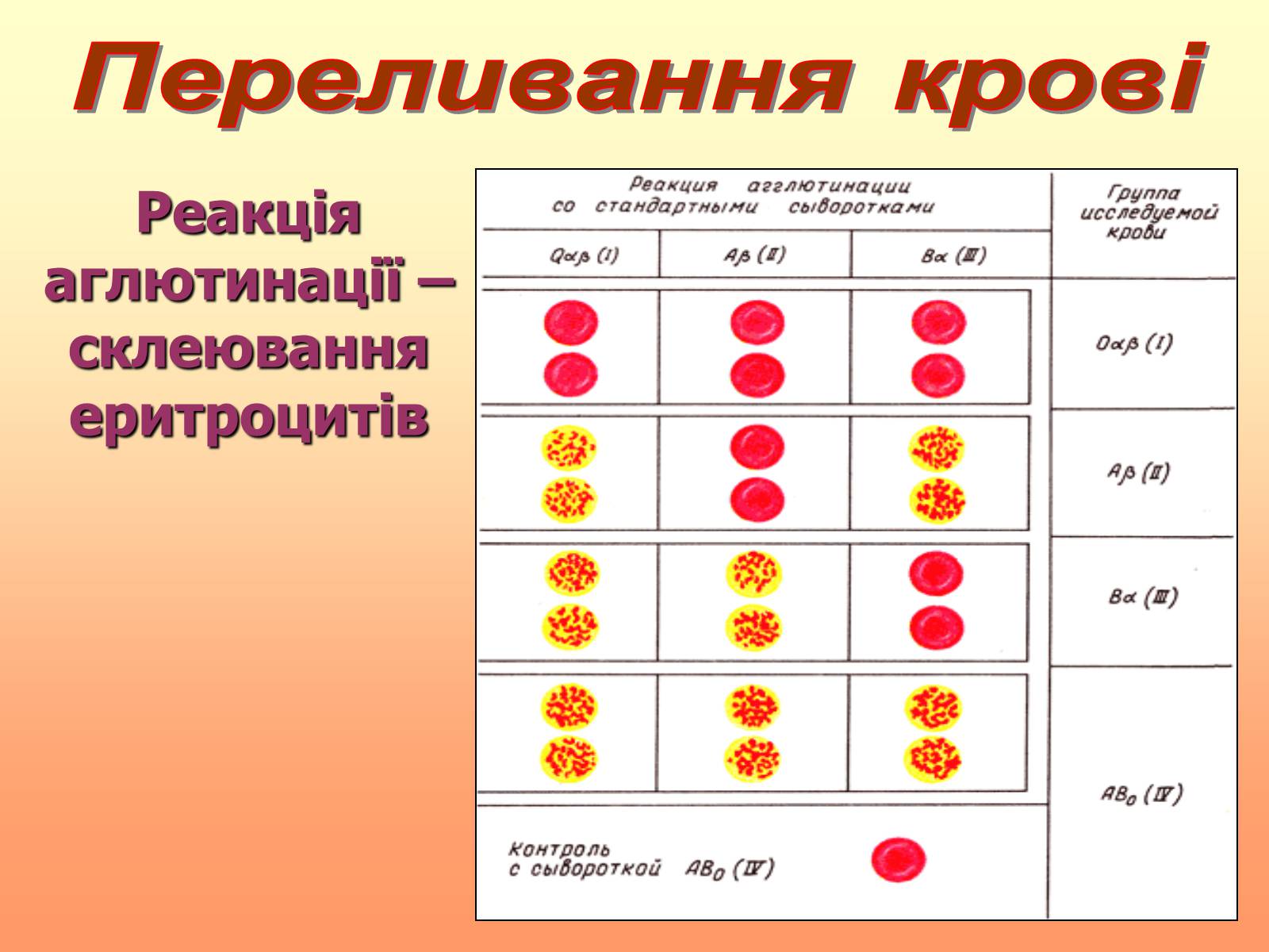 Презентація на тему «Кров» (варіант 1) - Слайд #44 Презентація на тему «Кров» (варіант 1) - Слайд #44