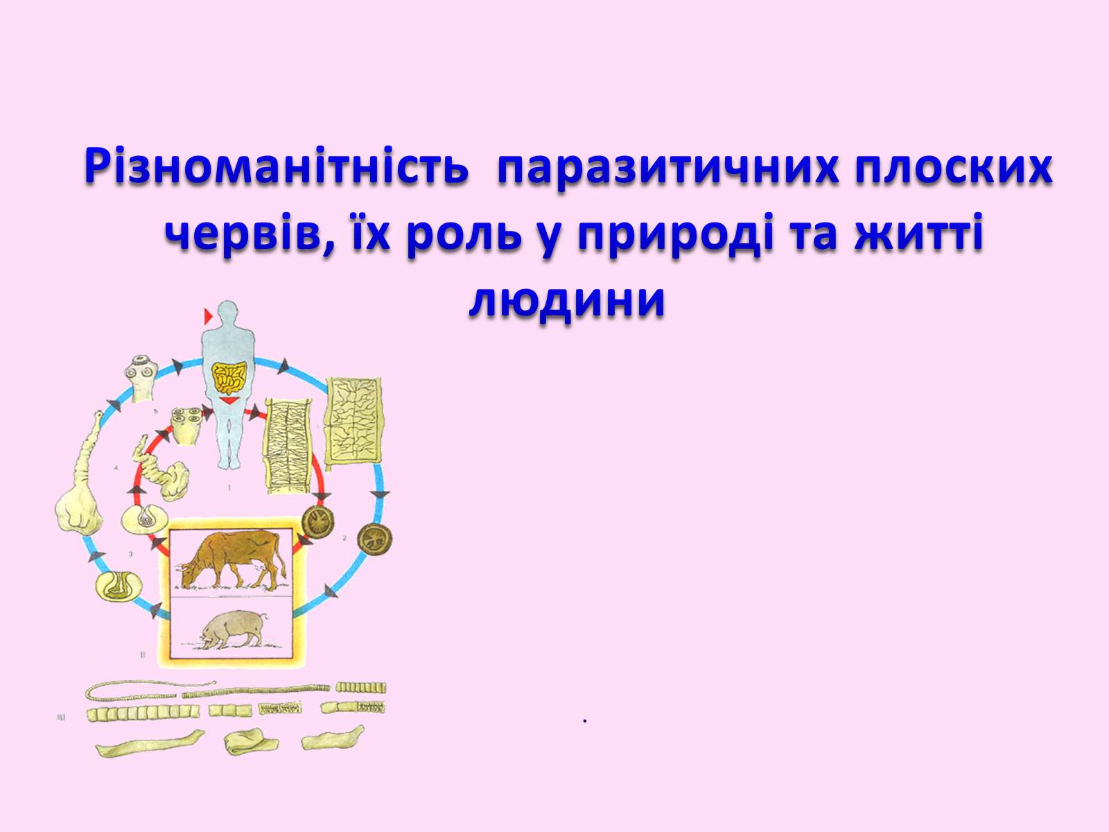 Презентація на тему «Різноманітність паразитичних плоских червів» - Слайд #1 Презентація на тему «Різноманітність паразитичних плоских червів» - Слайд #1