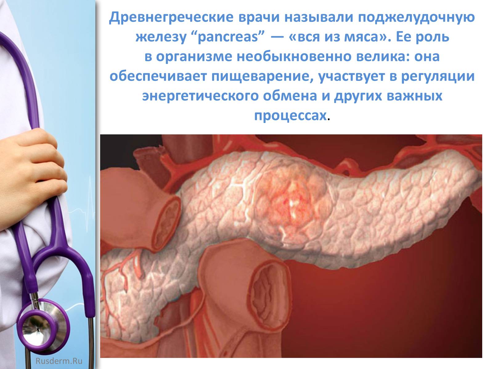Презентація на тему «Заболевания пищеварительной системы» - Слайд #14 Презентація на тему «Заболевания пищеварительной системы» - Слайд #14
