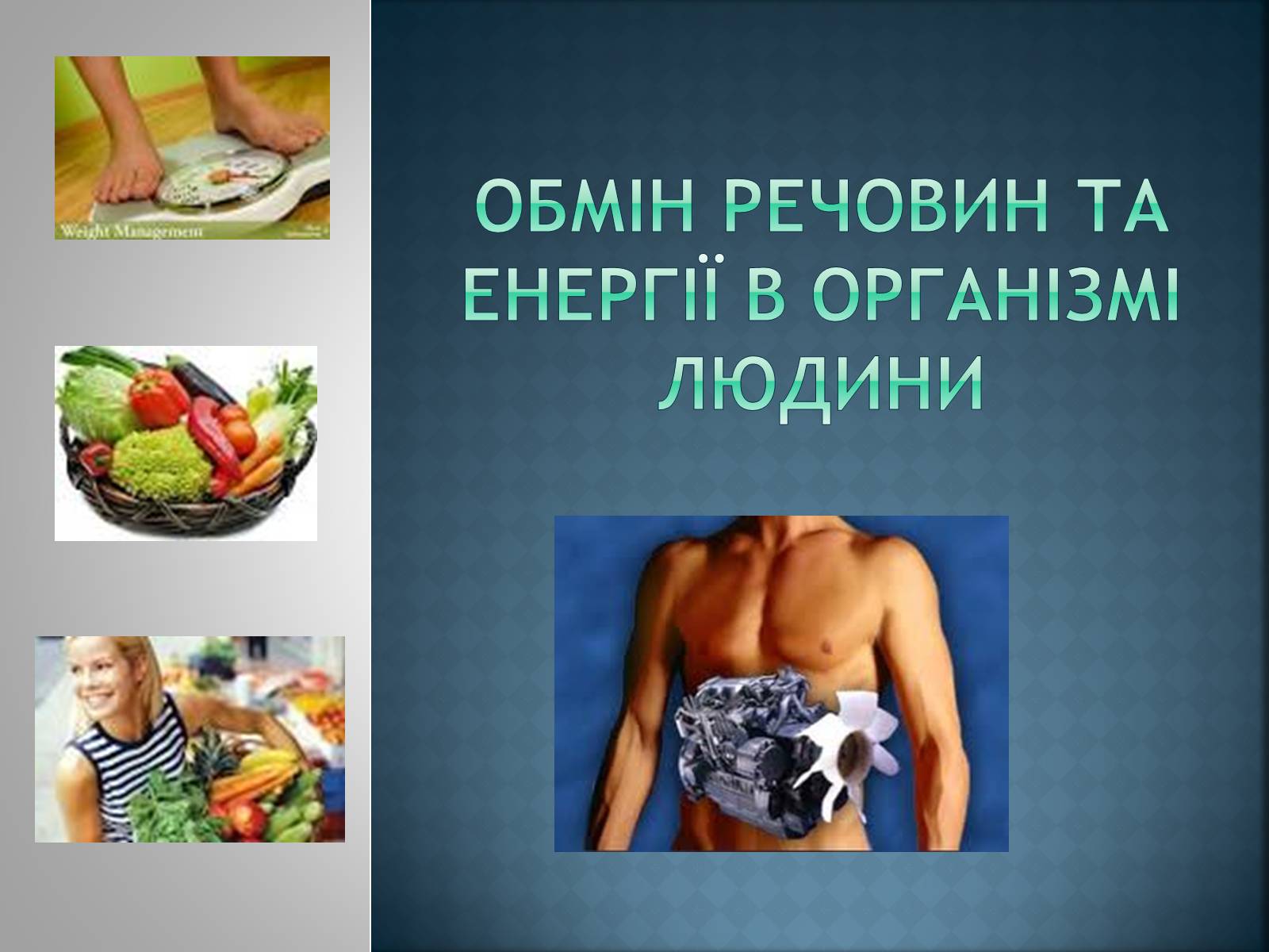 Презентація на тему «обмін речовин та енергії в організмі людини» - Слайд #1 Презентація на тему «обмін речовин та енергії в організмі людини» - Слайд #1