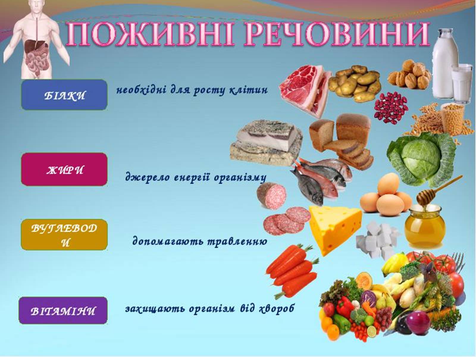 Презентація на тему «обмін речовин та енергії в організмі людини» - Слайд #8 Презентація на тему «обмін речовин та енергії в організмі людини» - Слайд #8