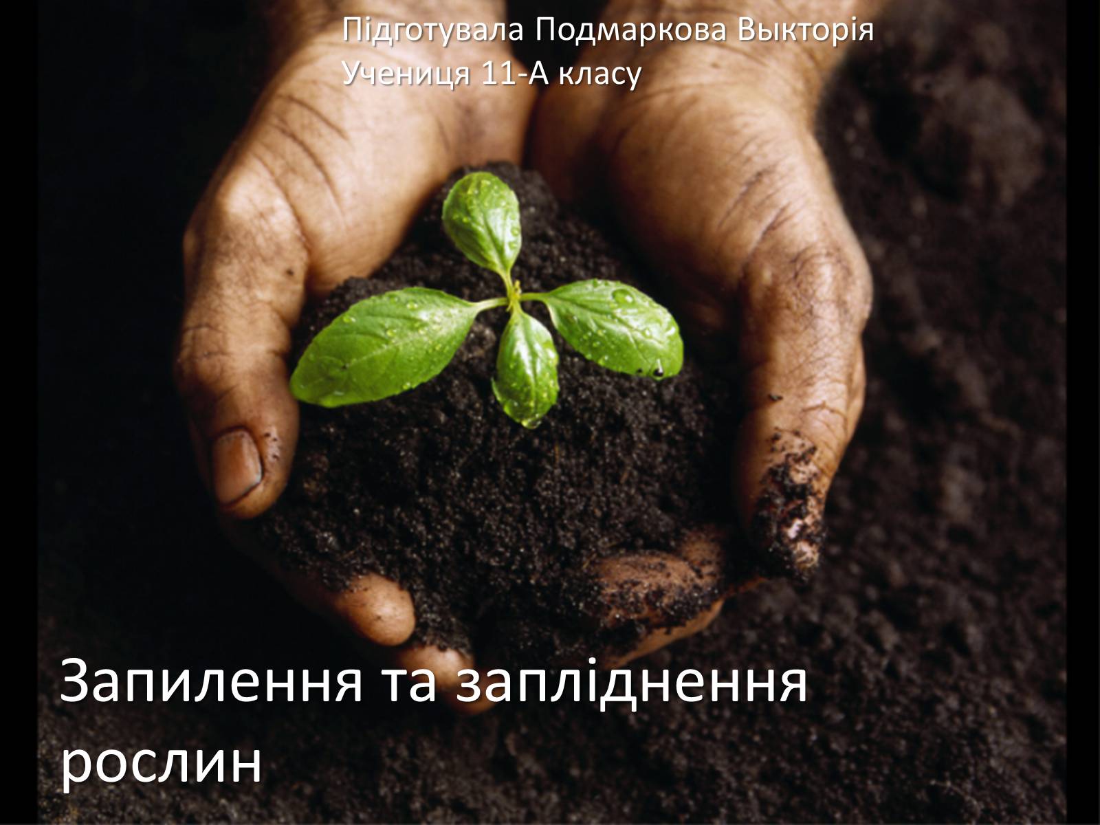 Презентація на тему «Запилення та запліднення рослин» (варіант 1) - Слайд #1 Презентація на тему «Запилення та запліднення рослин» (варіант 1) - Слайд #1