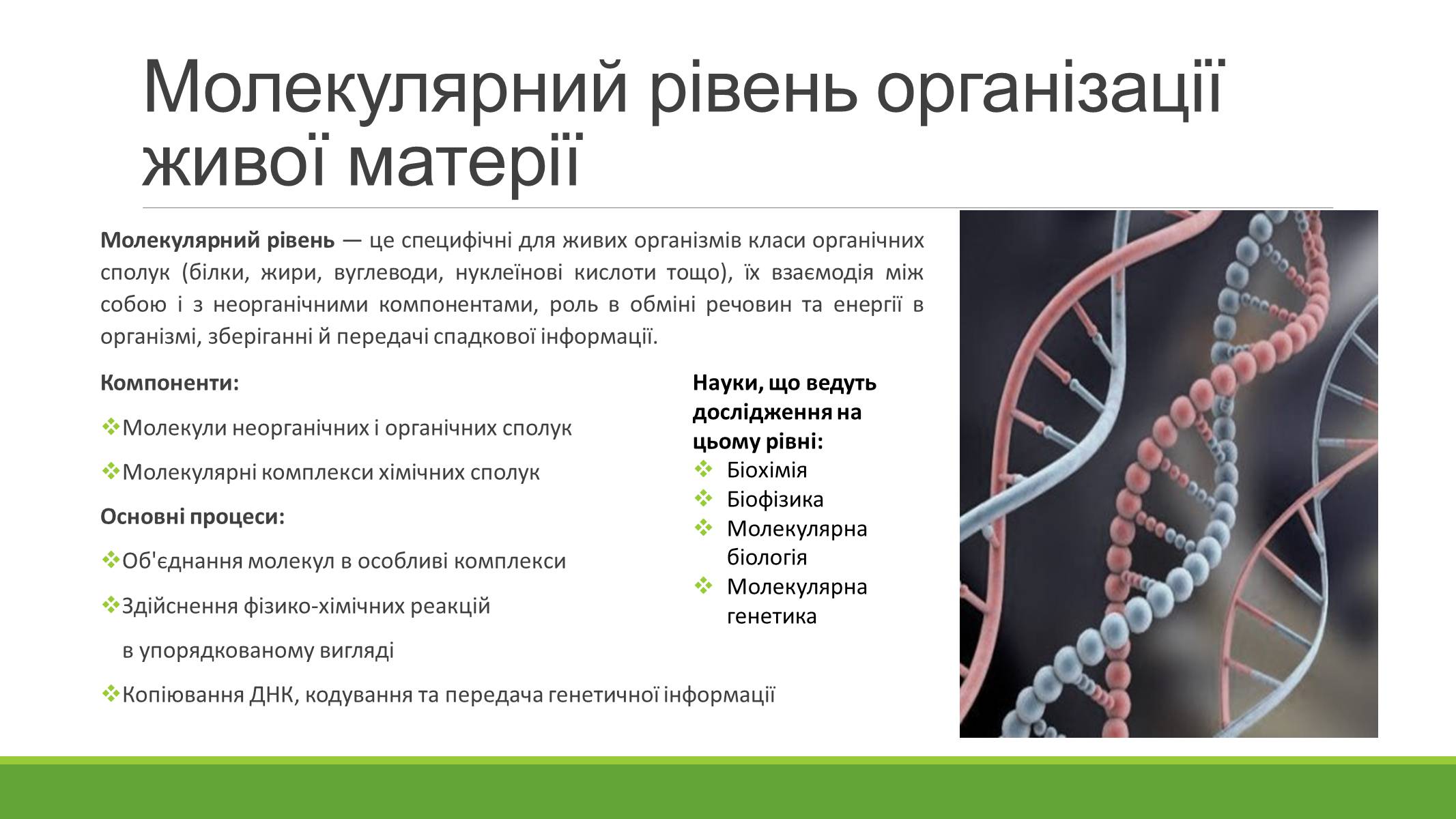 Презентація на тему «РІВНІ ОРГАНІЗАЦІЇ ЖИВОЇ МАТЕРІЇ» (варіант 2) - Слайд #4 Презентація на тему «РІВНІ ОРГАНІЗАЦІЇ ЖИВОЇ МАТЕРІЇ» (варіант 2) - Слайд #4