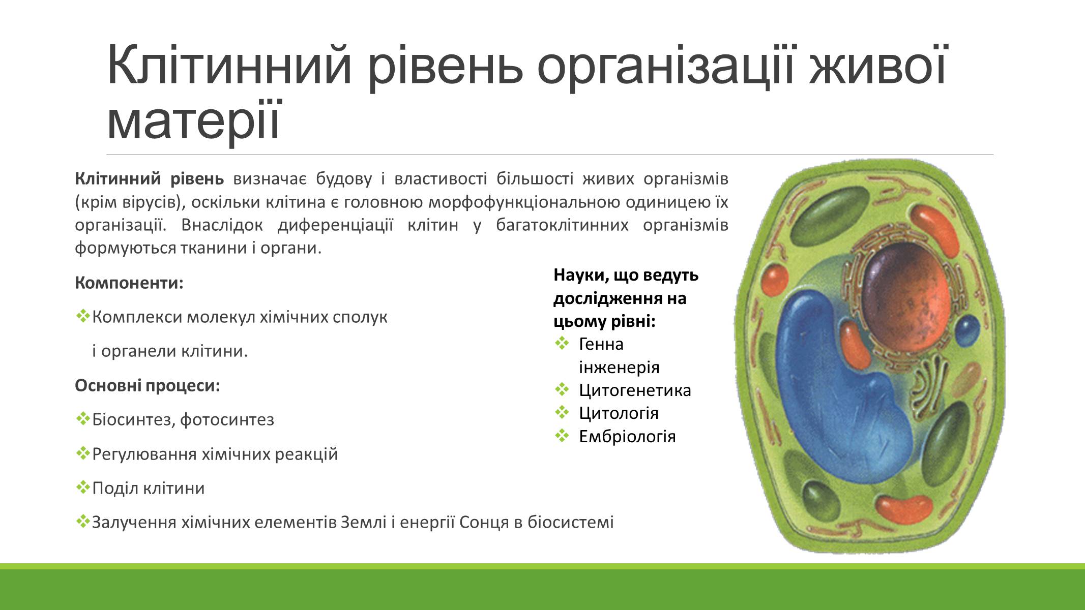 Презентація на тему «РІВНІ ОРГАНІЗАЦІЇ ЖИВОЇ МАТЕРІЇ» (варіант 2) - Слайд #5 Презентація на тему «РІВНІ ОРГАНІЗАЦІЇ ЖИВОЇ МАТЕРІЇ» (варіант 2) - Слайд #5