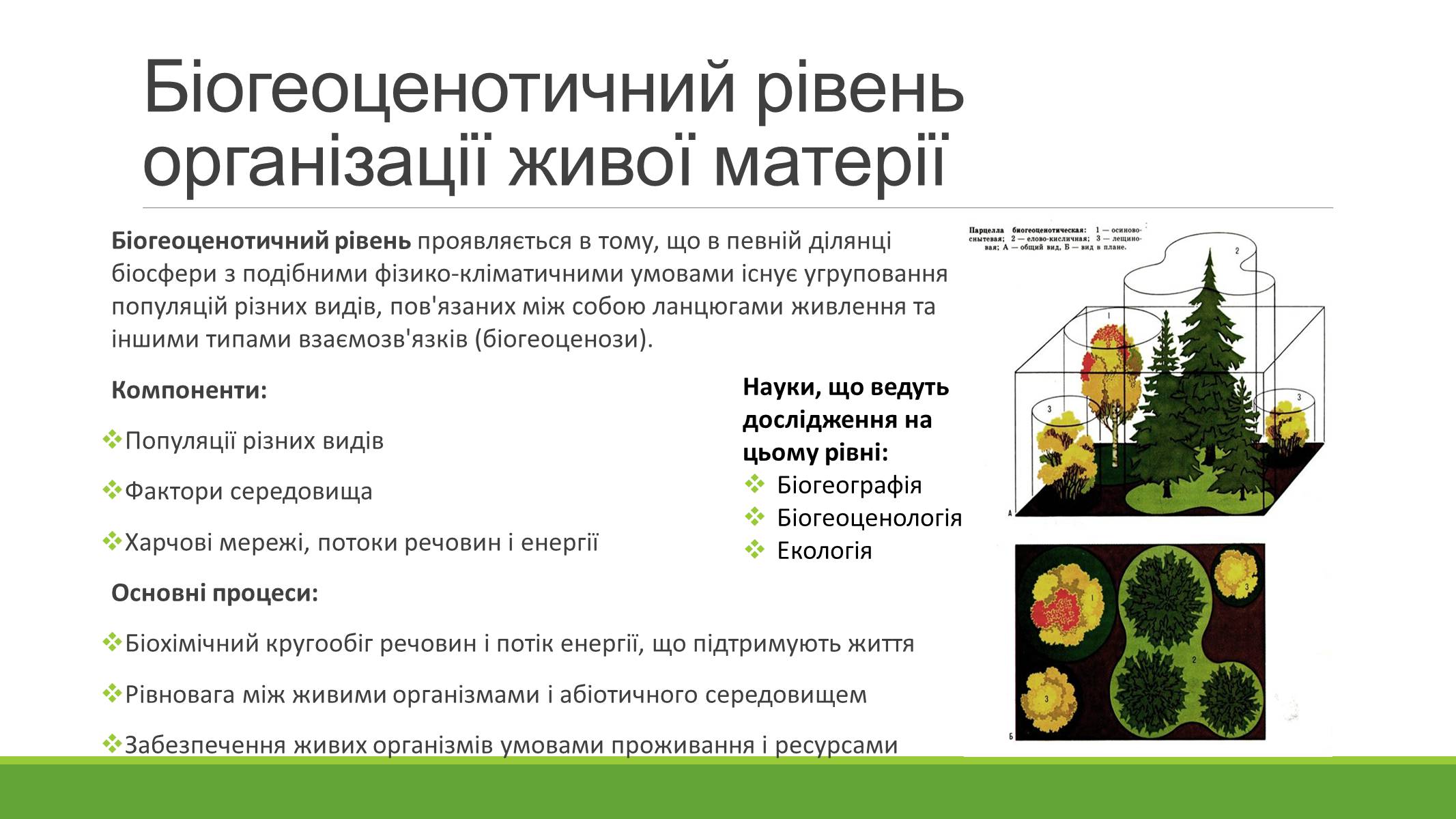 Презентація на тему «РІВНІ ОРГАНІЗАЦІЇ ЖИВОЇ МАТЕРІЇ» (варіант 2) - Слайд #8 Презентація на тему «РІВНІ ОРГАНІЗАЦІЇ ЖИВОЇ МАТЕРІЇ» (варіант 2) - Слайд #8