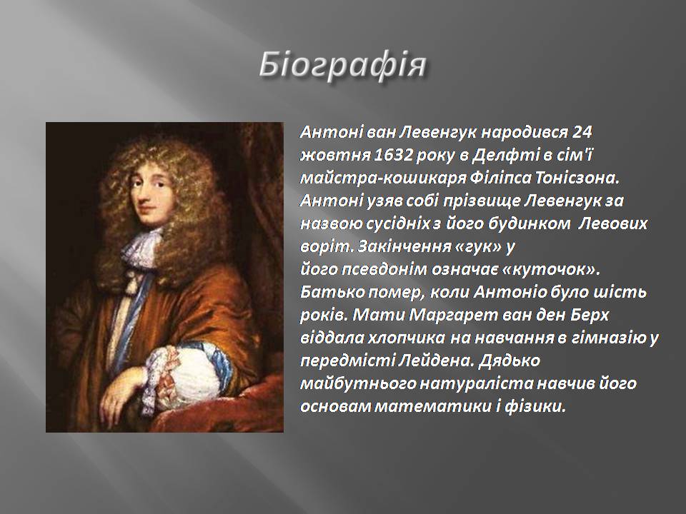 Презентація на тему «Антоні ван Левенгук» - Слайд #2 Презентація на тему «Антоні ван Левенгук» - Слайд #2