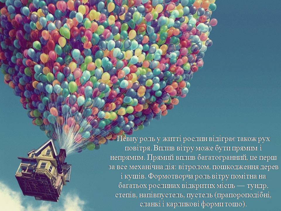 Презентація на тему «Повітря» - Слайд #5 Презентація на тему «Повітря» - Слайд #5