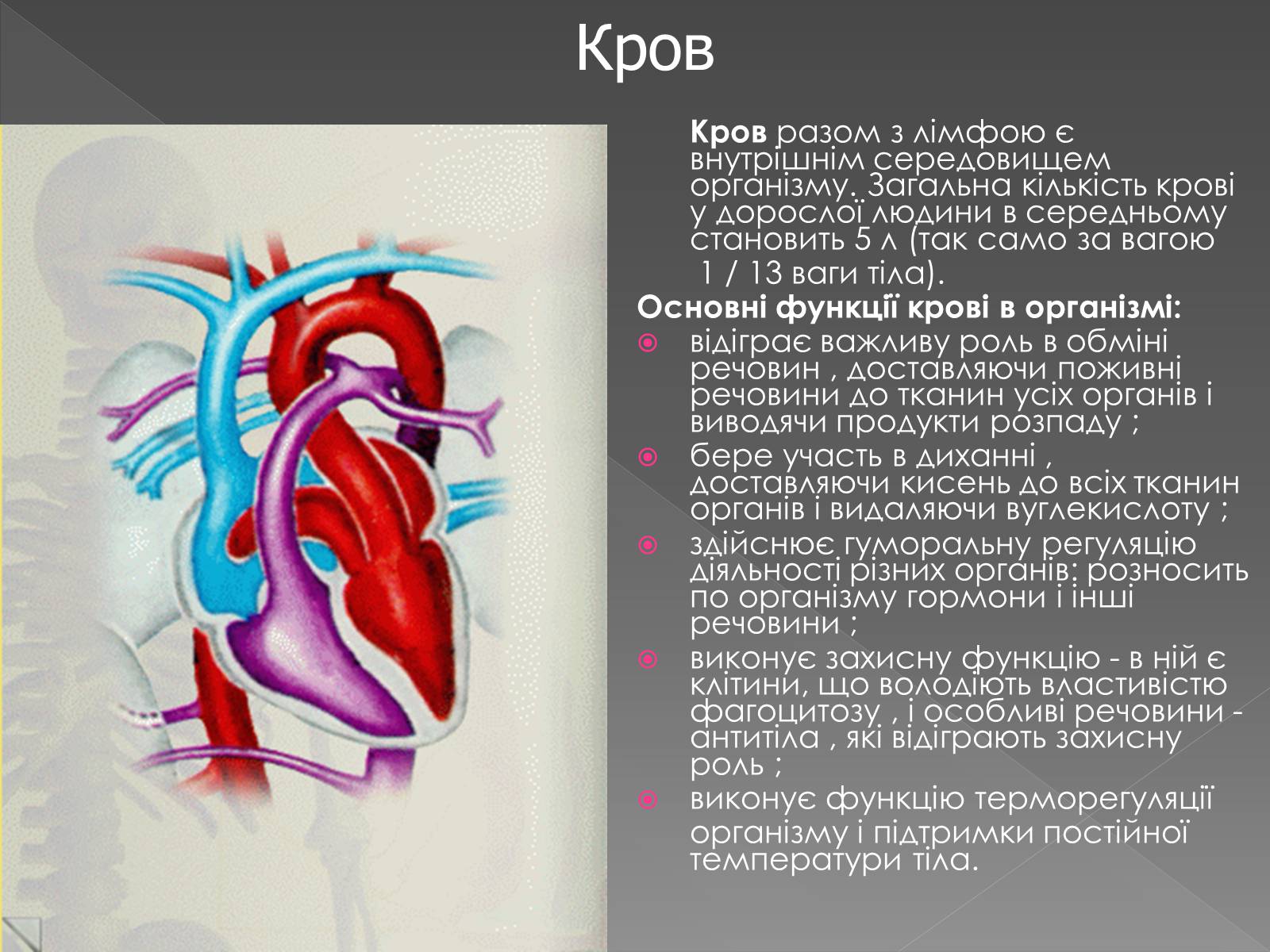 Презентація на тему «Кровоносна система» (варіант 2) - Слайд #2 Презентація на тему «Кровоносна система» (варіант 2) - Слайд #2