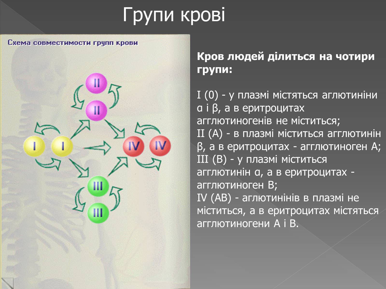 Презентація на тему «Кровоносна система» (варіант 2) - Слайд #7 Презентація на тему «Кровоносна система» (варіант 2) - Слайд #7