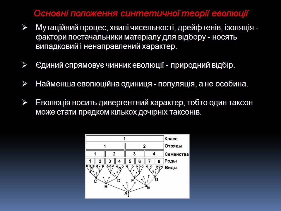 Презентація на тему «Еволюційне вчення Чарльза Дарвіна» - Слайд #12 Презентація на тему «Еволюційне вчення Чарльза Дарвіна» - Слайд #12