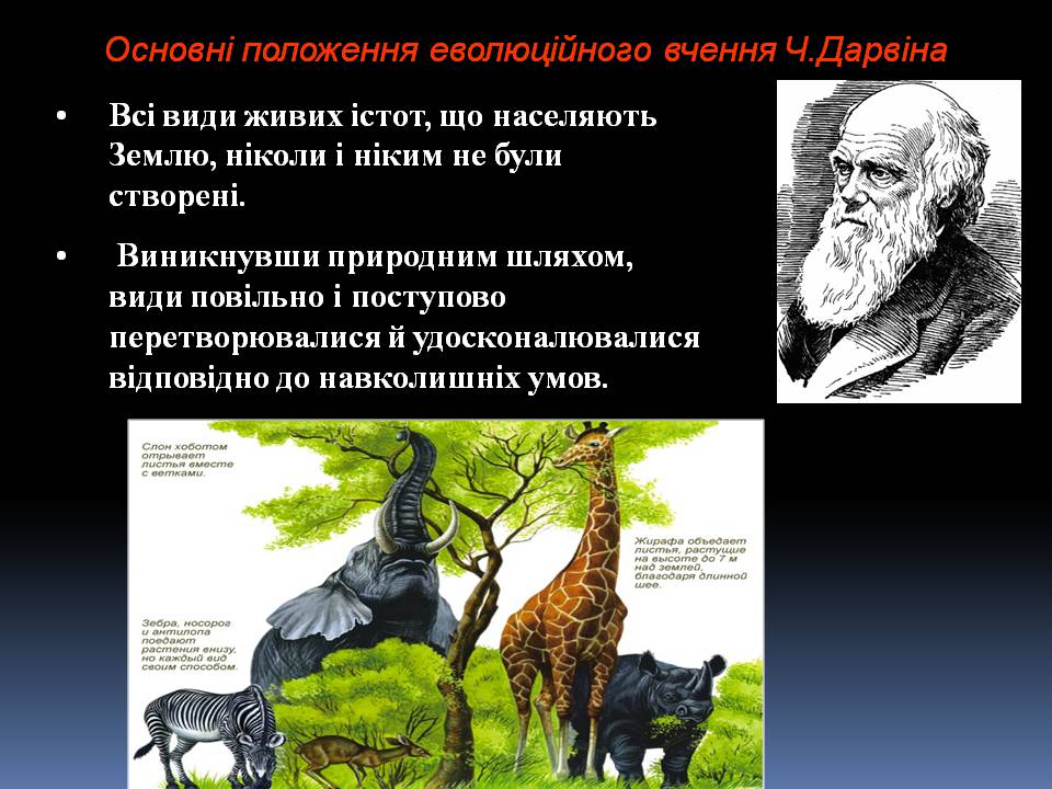 Презентація на тему «Еволюційне вчення Чарльза Дарвіна» - Слайд #3 Презентація на тему «Еволюційне вчення Чарльза Дарвіна» - Слайд #3