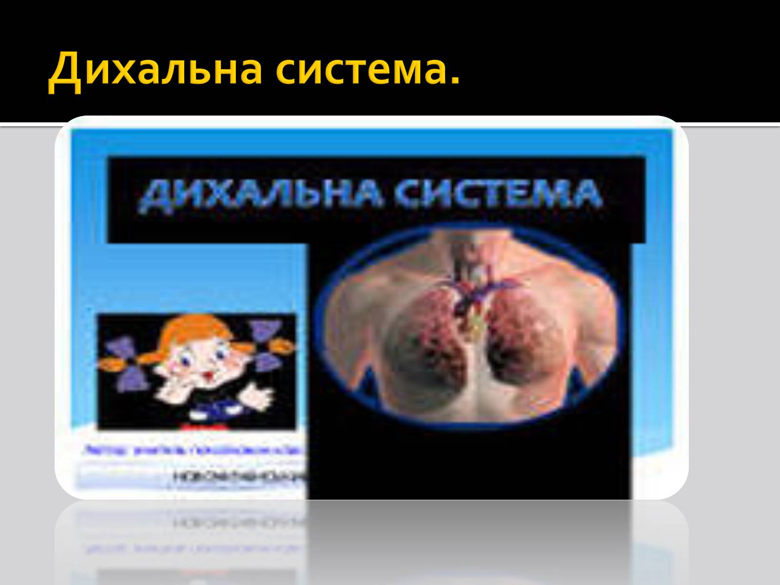 Презентація на тему «Дихальна система» (варіант 1) - Слайд #1 Презентація на тему «Дихальна система» (варіант 1) - Слайд #1