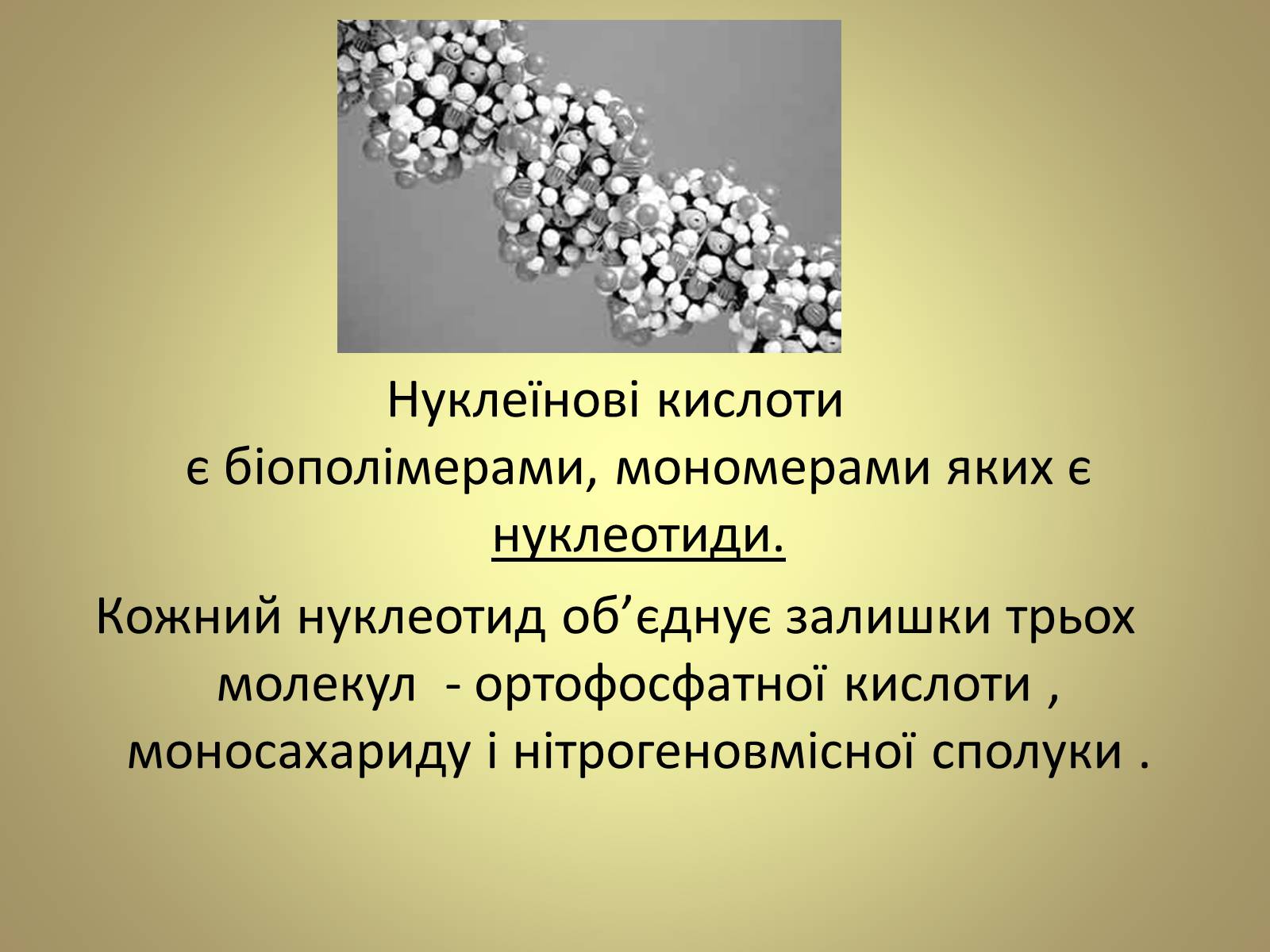 Презентація на тему «Нуклеїнові кислоти» (варіант 5) - Слайд #4 Презентація на тему «Нуклеїнові кислоти» (варіант 5) - Слайд #4
