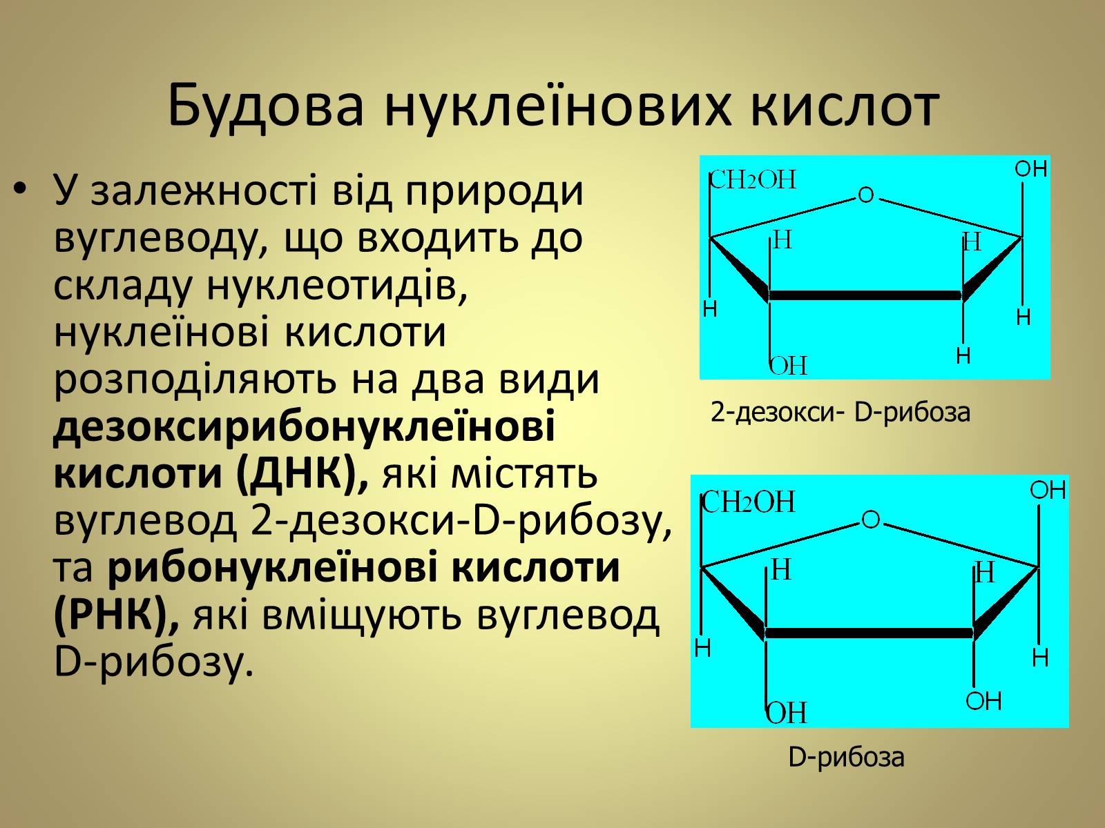 Презентація на тему «Нуклеїнові кислоти» (варіант 5) - Слайд #5 Презентація на тему «Нуклеїнові кислоти» (варіант 5) - Слайд #5
