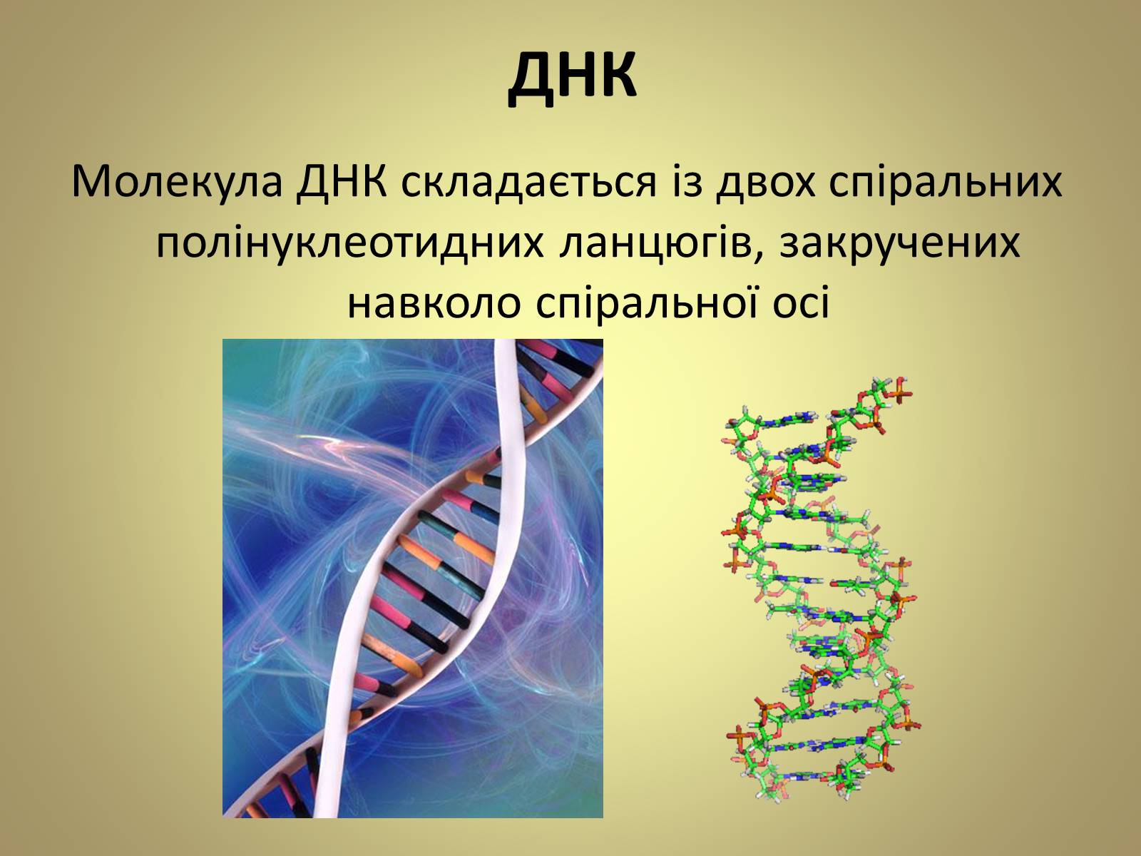 Презентація на тему «Нуклеїнові кислоти» (варіант 5) - Слайд #9 Презентація на тему «Нуклеїнові кислоти» (варіант 5) - Слайд #9