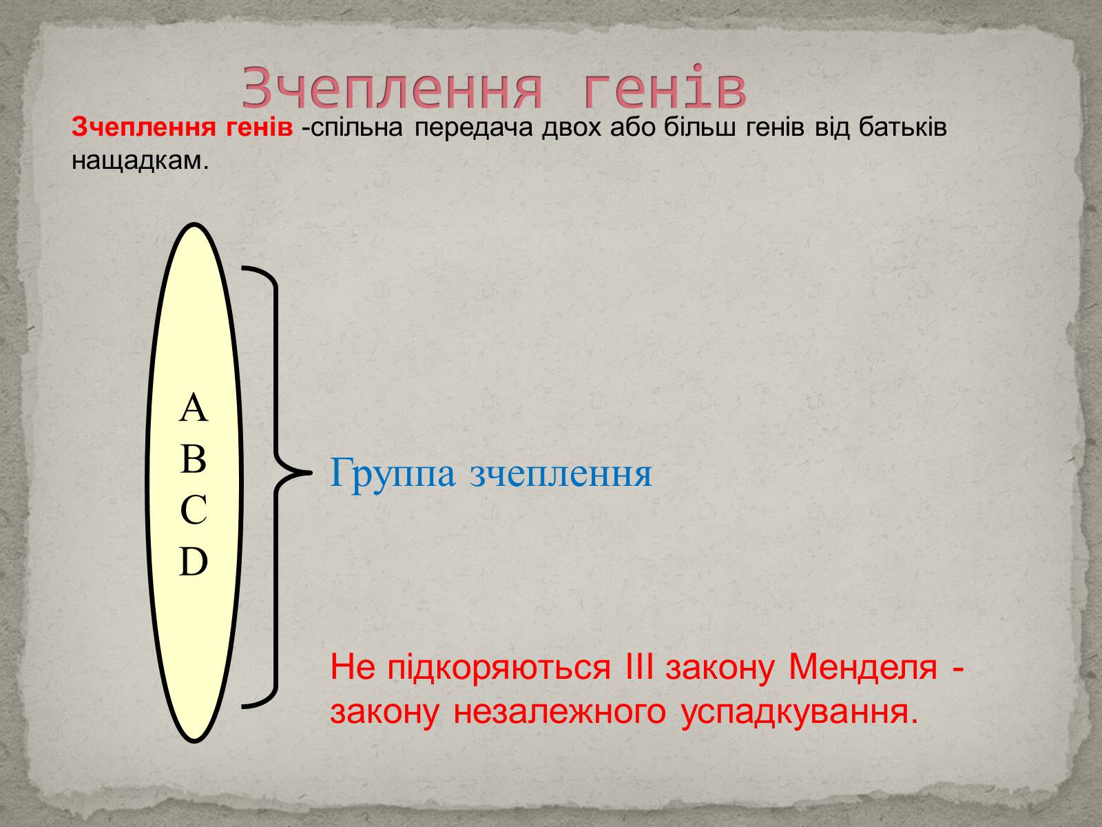 Презентація на тему «Хромосомна теорія спадковості» (варіант 1) - Слайд #11 Презентація на тему «Хромосомна теорія спадковості» (варіант 1) - Слайд #11