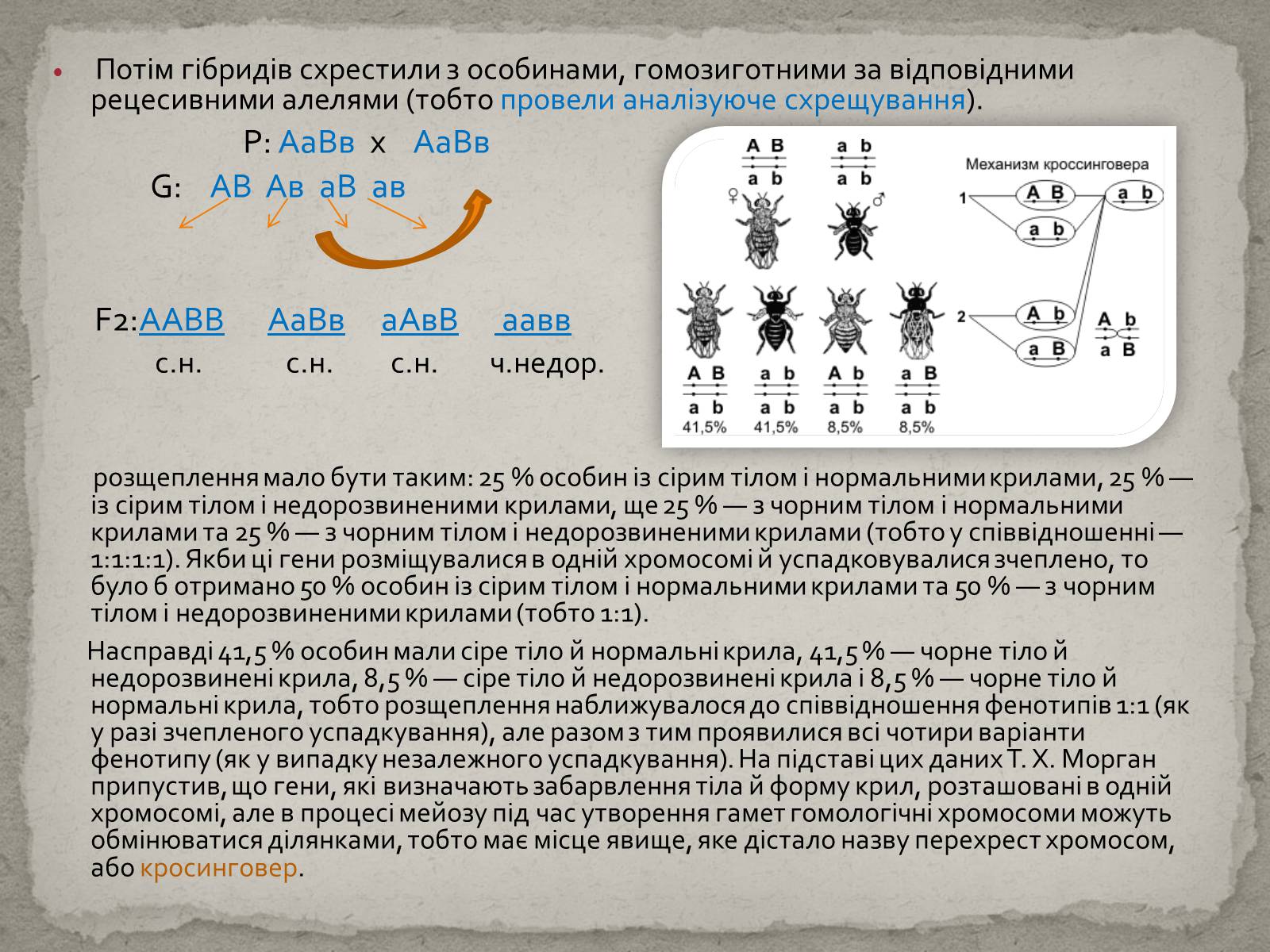Презентація на тему «Хромосомна теорія спадковості» (варіант 1) - Слайд #6 Презентація на тему «Хромосомна теорія спадковості» (варіант 1) - Слайд #6
