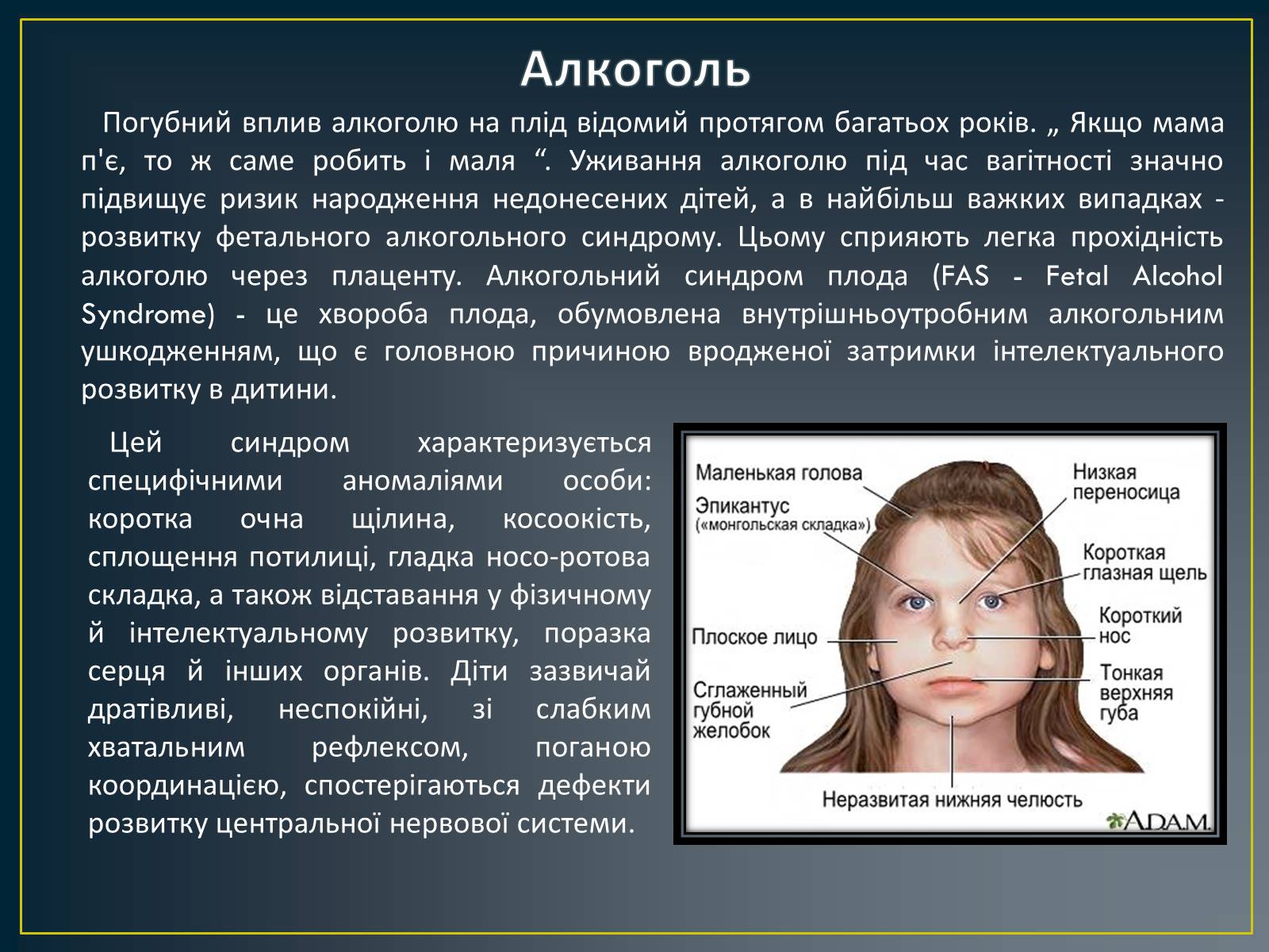 Презентація на тему «Вплив алкоголю, нікотину і наркотичних речовин на зародок людини» - Слайд #4 Презентація на тему «Вплив алкоголю, нікотину і наркотичних речовин на зародок людини» - Слайд #4