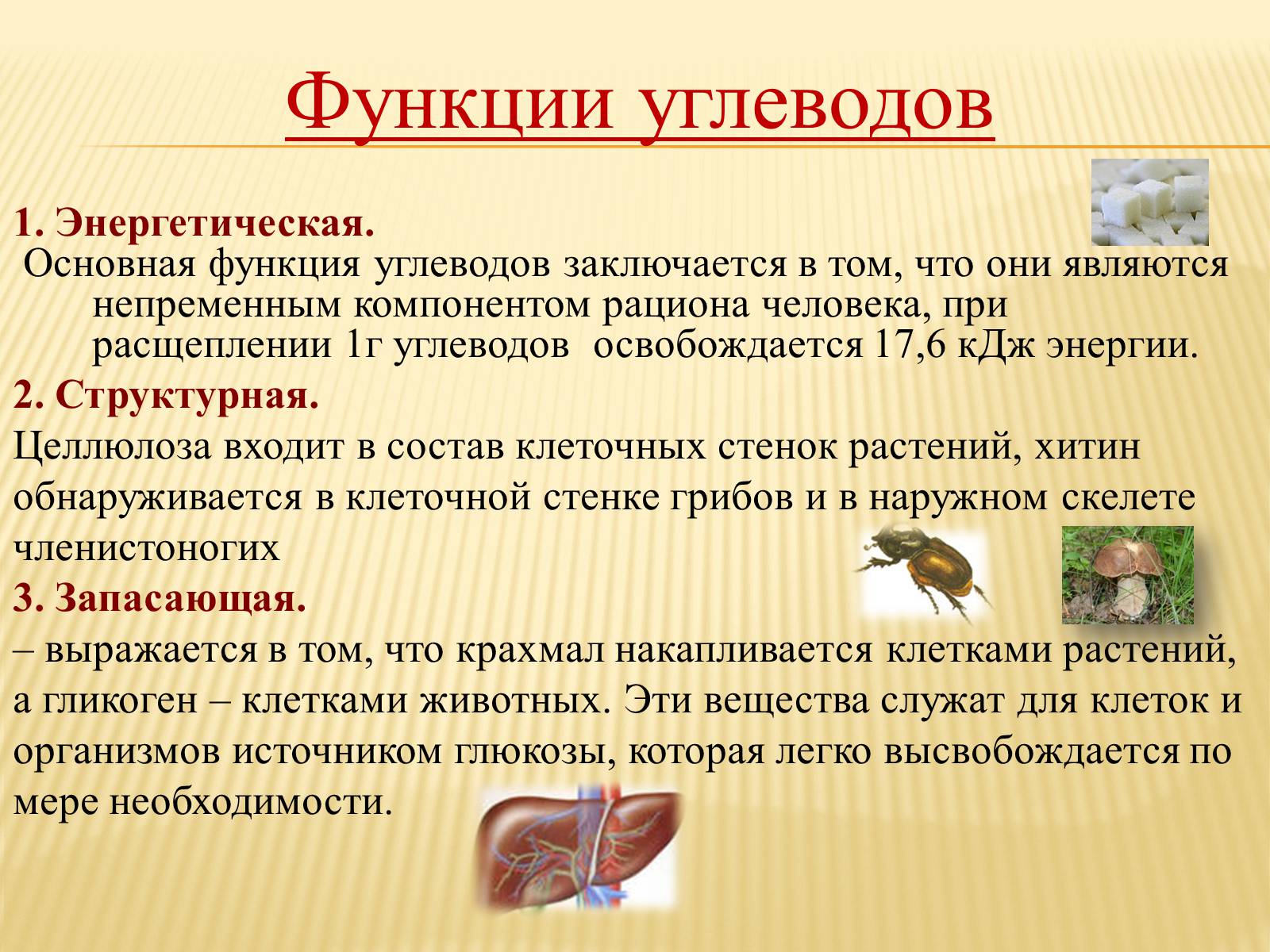 Презентація на тему «Органические вещества. Углеводы. Белки» - Слайд #14 Презентація на тему «Органические вещества. Углеводы. Белки» - Слайд #14
