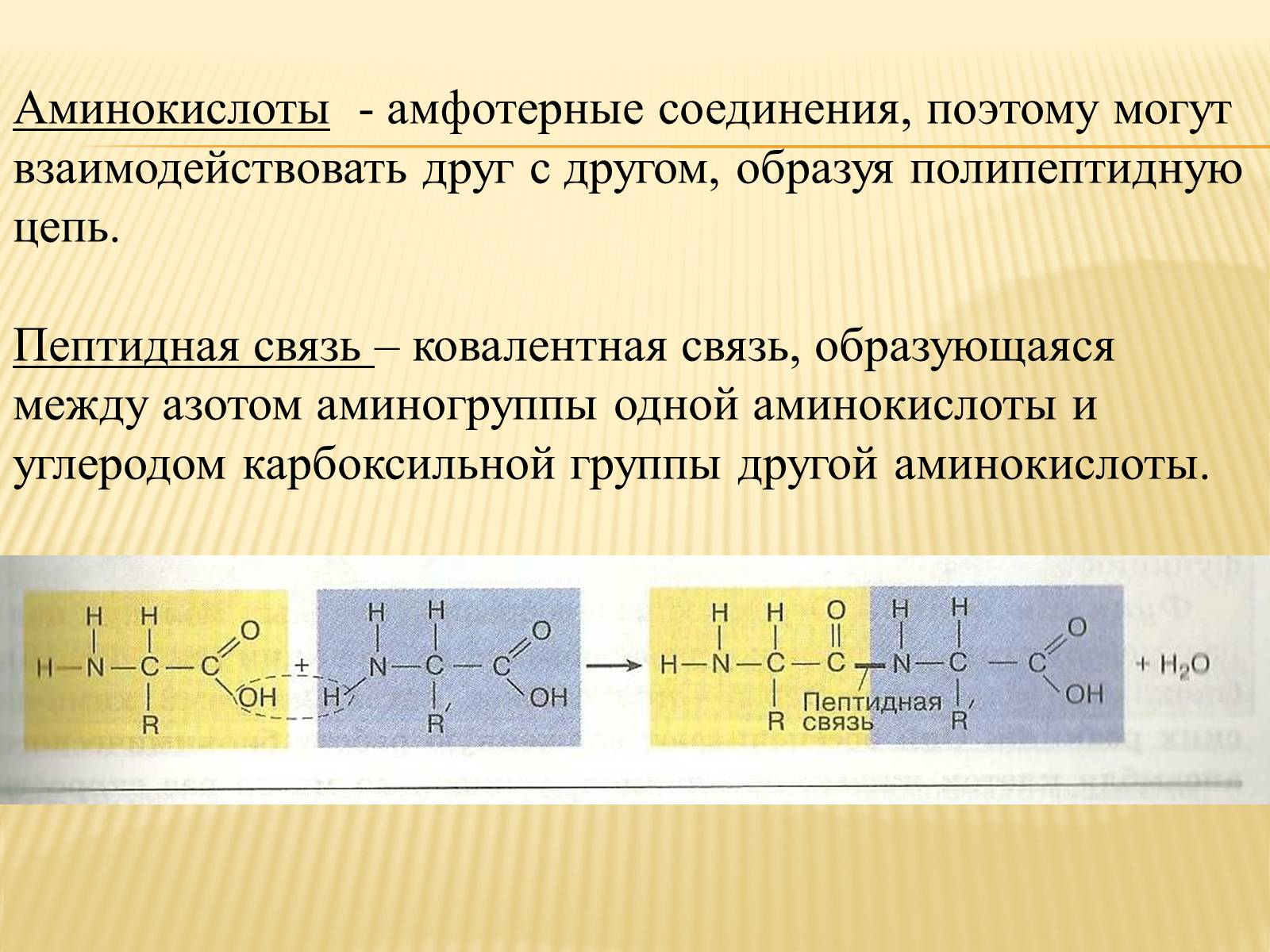 Презентація на тему «Органические вещества. Углеводы. Белки» - Слайд #18 Презентація на тему «Органические вещества. Углеводы. Белки» - Слайд #18