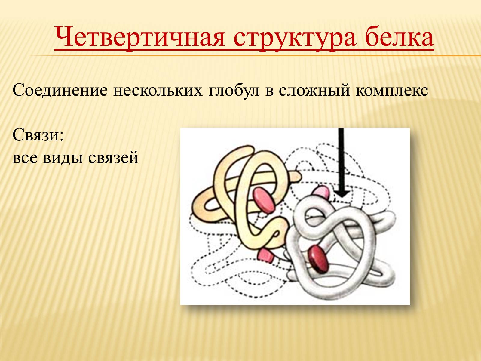 Презентація на тему «Органические вещества. Углеводы. Белки» - Слайд #24 Презентація на тему «Органические вещества. Углеводы. Белки» - Слайд #24