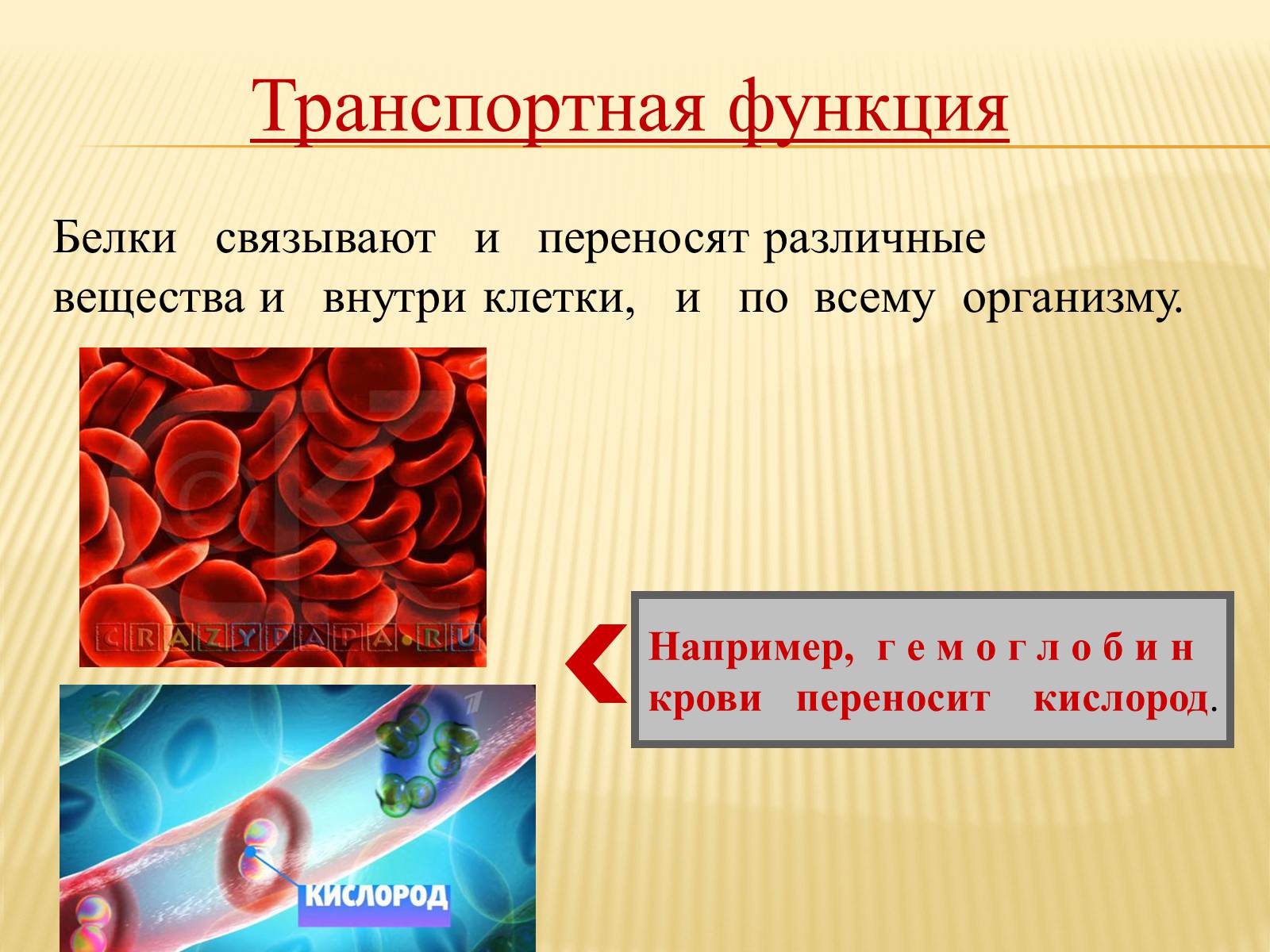 Презентація на тему «Органические вещества. Углеводы. Белки» - Слайд #29 Презентація на тему «Органические вещества. Углеводы. Белки» - Слайд #29