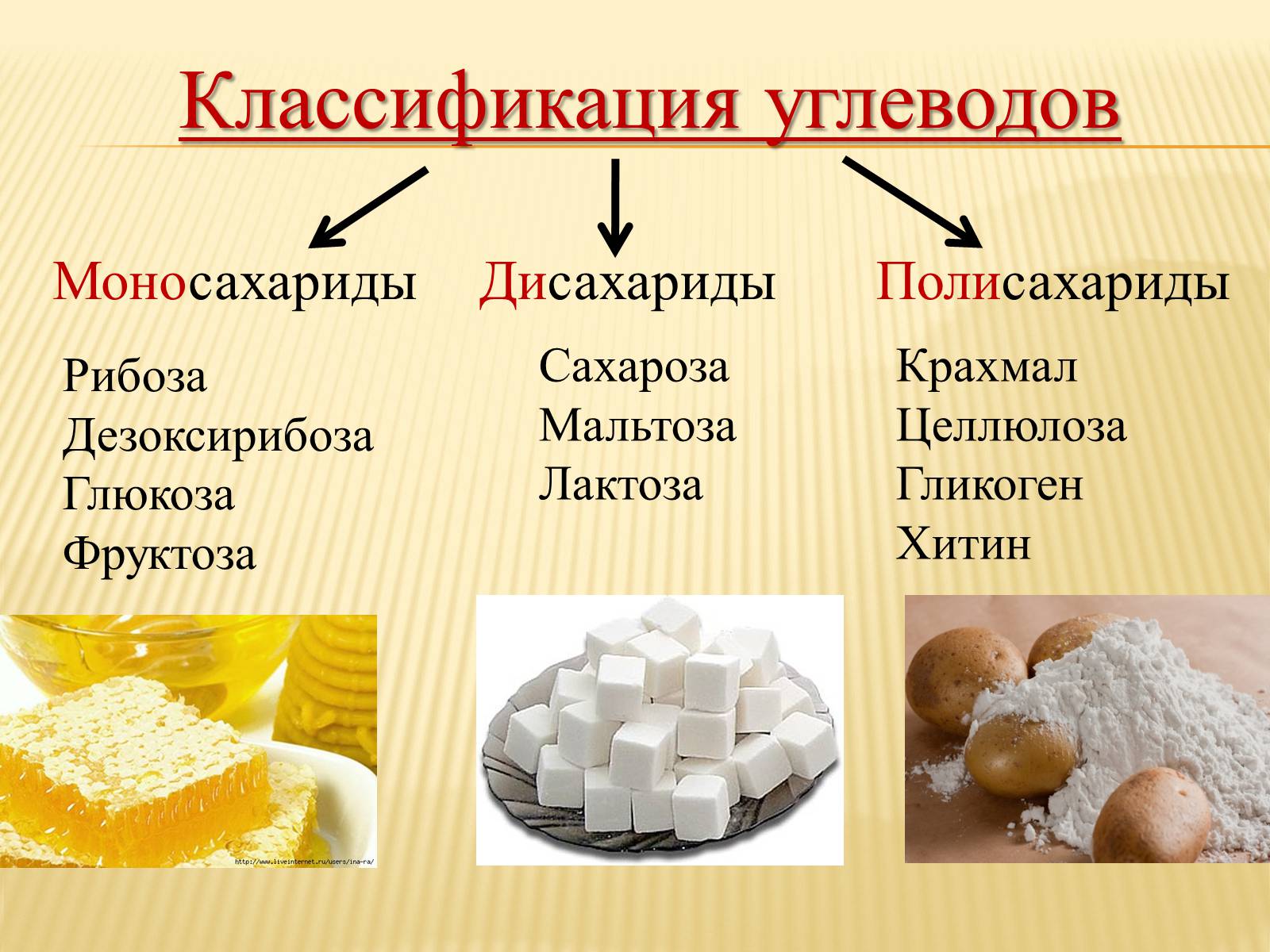 Презентація на тему «Органические вещества. Углеводы. Белки» - Слайд #4 Презентація на тему «Органические вещества. Углеводы. Белки» - Слайд #4
