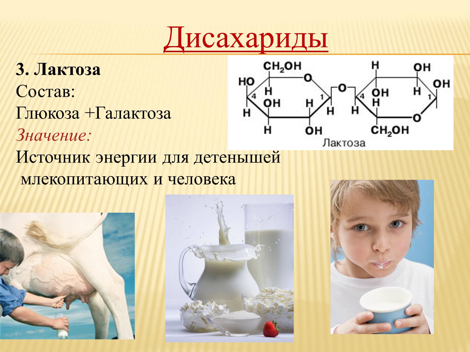 Презентація на тему «Органические вещества. Углеводы. Белки» - Слайд #9 Презентація на тему «Органические вещества. Углеводы. Белки» - Слайд #9