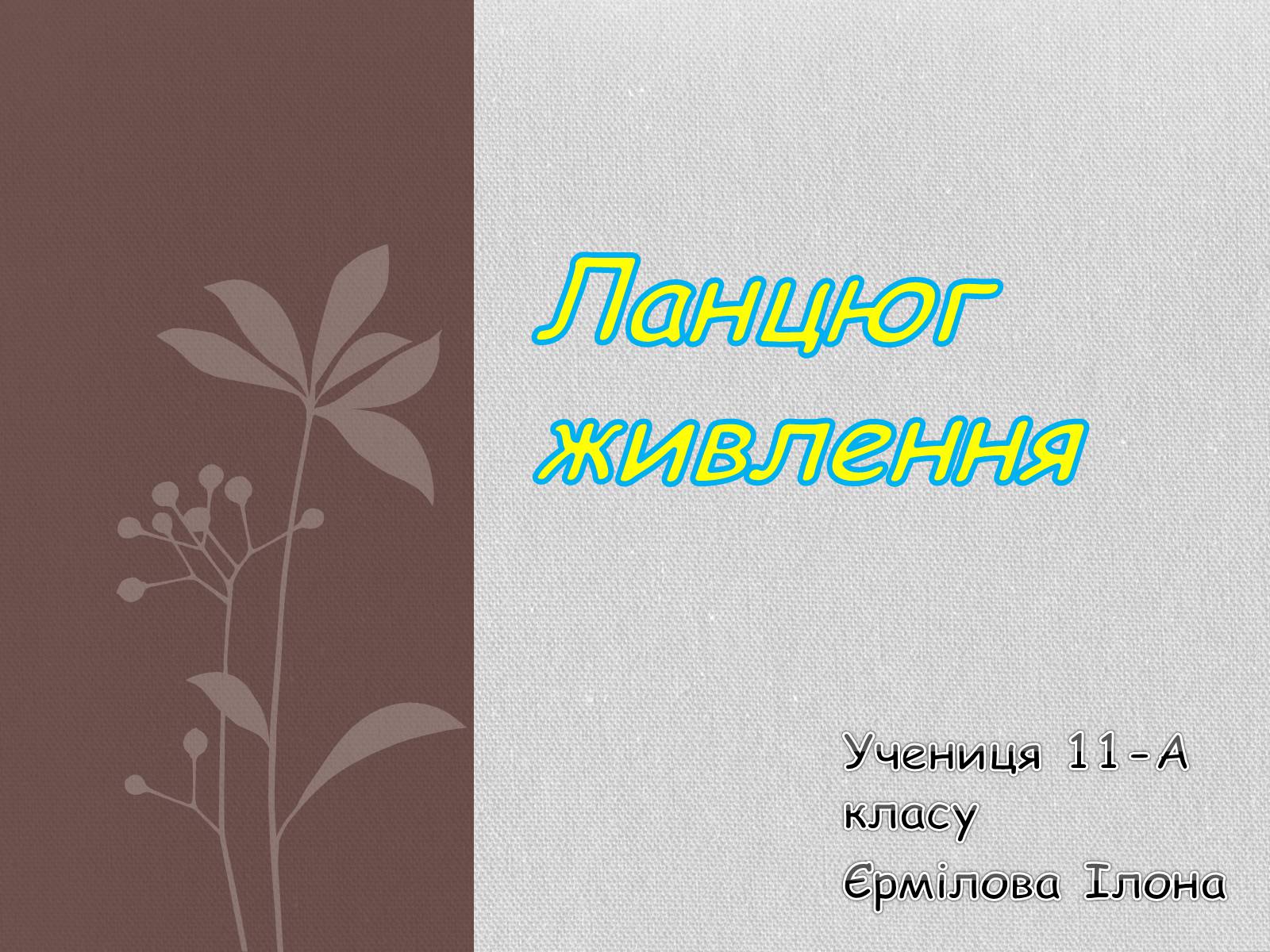 Презентація на тему «Ланцюг живлення» (варіант 1) - Слайд #1