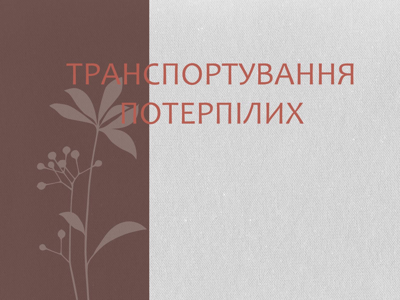 Презентація на тему «Транспортування потерпілих» - Слайд #1 Презентація на тему «Транспортування потерпілих» - Слайд #1