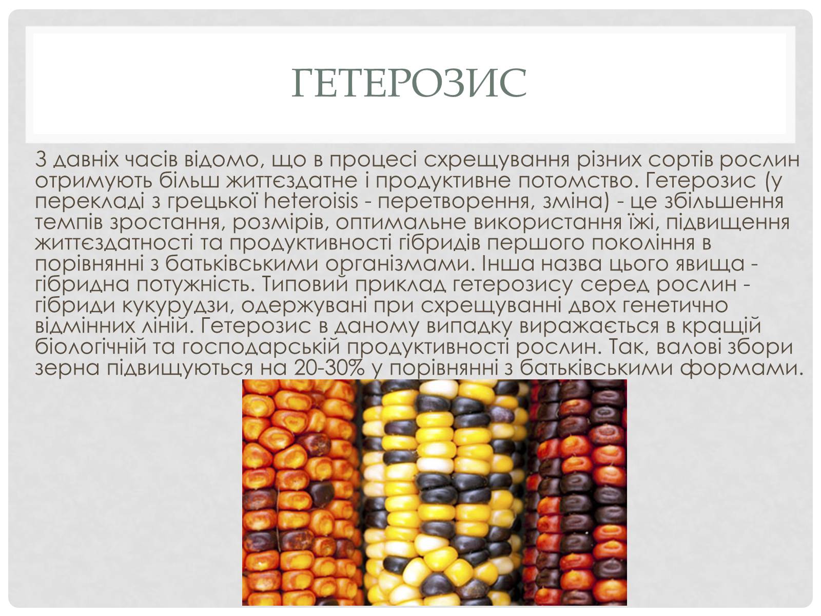 Презентація на тему «Вплив генотипу і факторів зовнішнього середовища на рослинні організми» - Слайд #4 Презентація на тему «Вплив генотипу і факторів зовнішнього середовища на рослинні організми» - Слайд #4