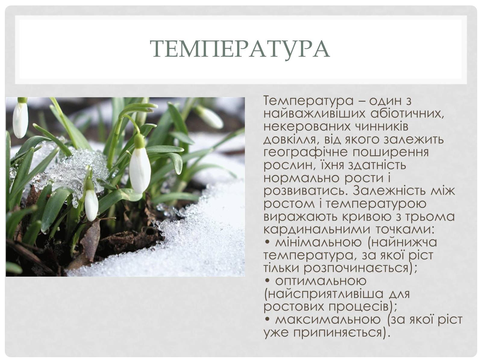 Презентація на тему «Вплив генотипу і факторів зовнішнього середовища на рослинні організми» - Слайд #9 Презентація на тему «Вплив генотипу і факторів зовнішнього середовища на рослинні організми» - Слайд #9