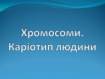 Презентація на тему «Хромосоми» (варіант 2)