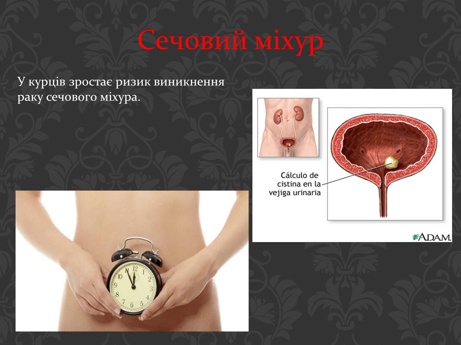 Презентація на тему «Вплив паління на організм людини» - Слайд #16 Презентація на тему «Вплив паління на організм людини» - Слайд #16