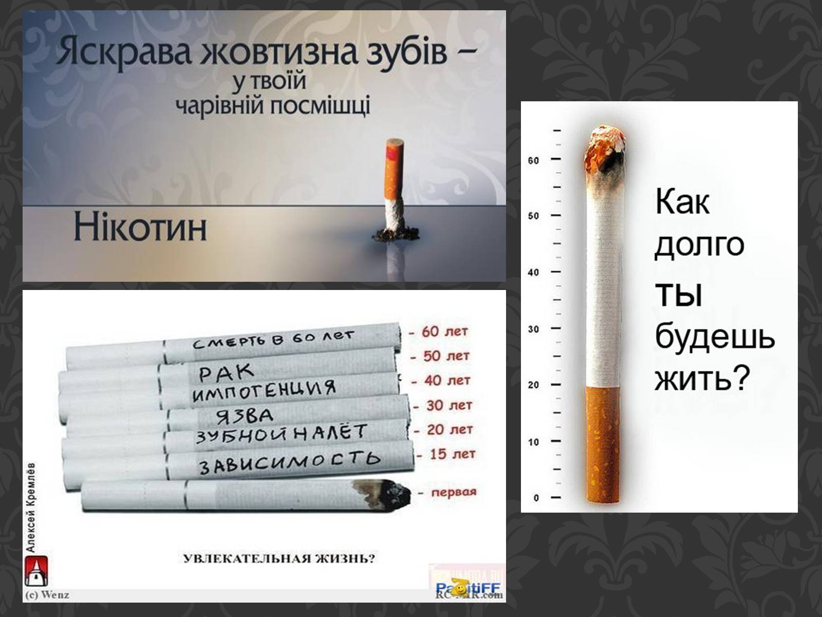 Презентація на тему «Вплив паління на організм людини» - Слайд #23 Презентація на тему «Вплив паління на організм людини» - Слайд #23