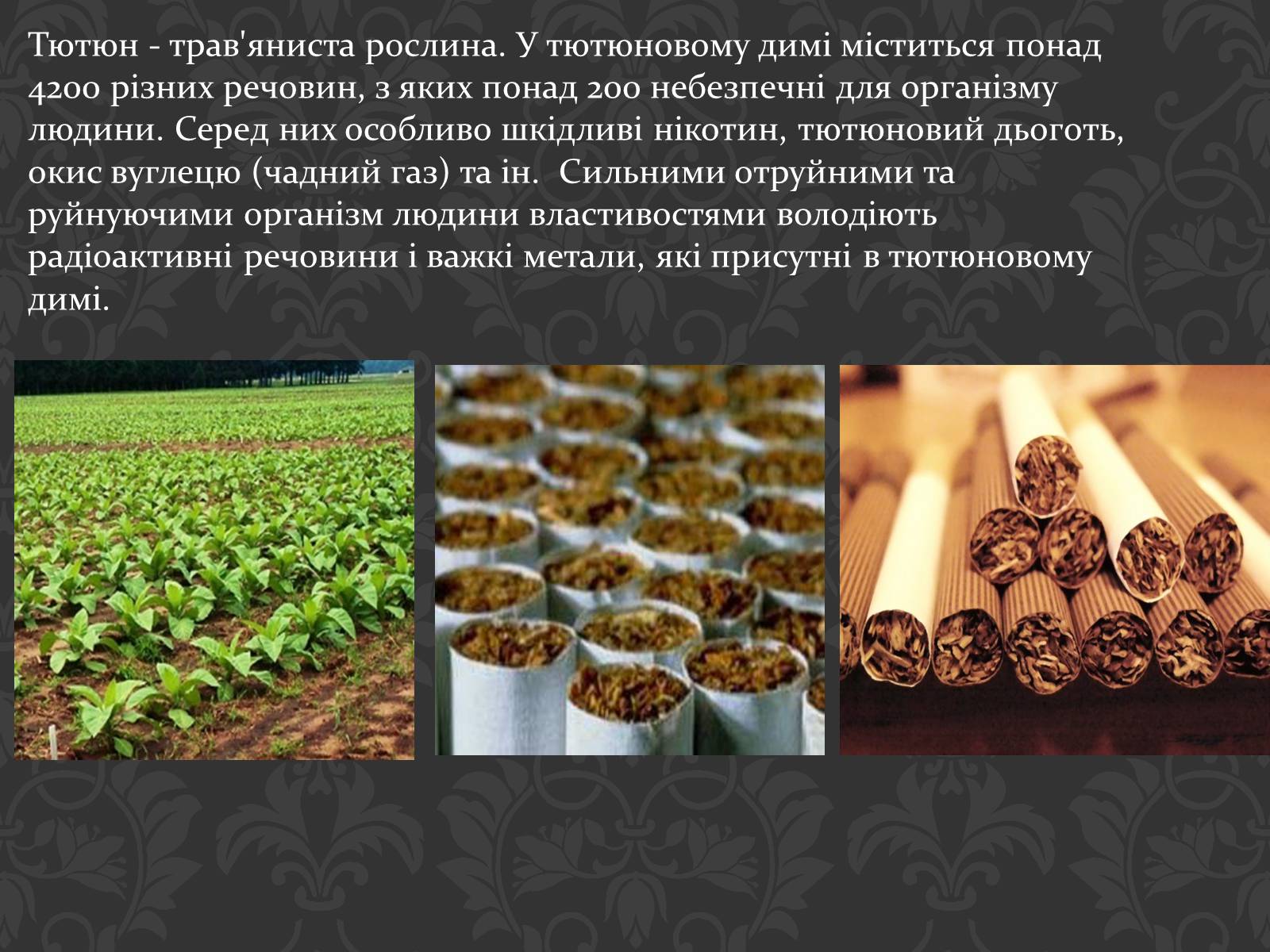 Презентація на тему «Вплив паління на організм людини» - Слайд #3 Презентація на тему «Вплив паління на організм людини» - Слайд #3