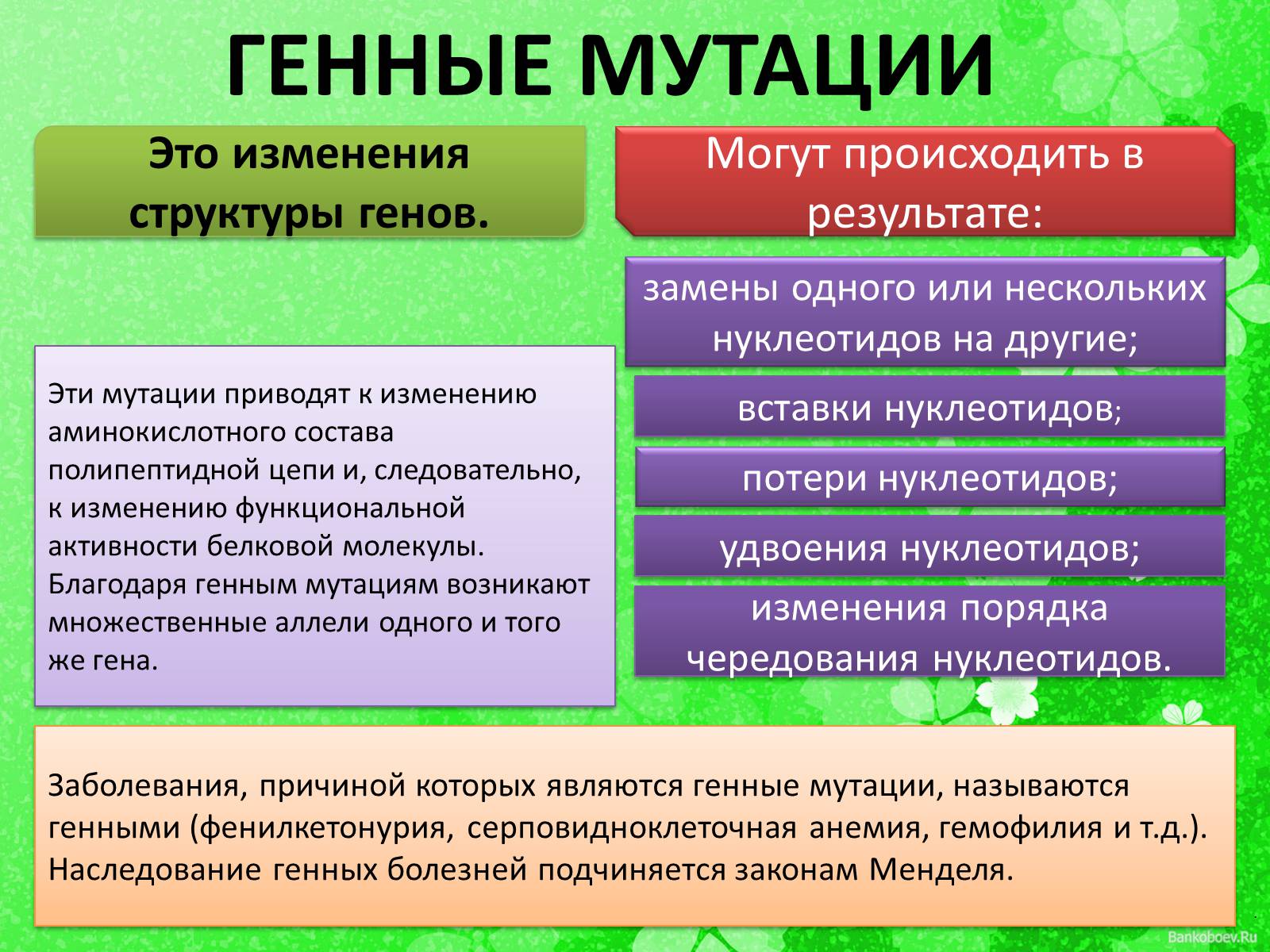 Презентація на тему «Мутационная изменчивость» - Слайд #11 Презентація на тему «Мутационная изменчивость» - Слайд #11