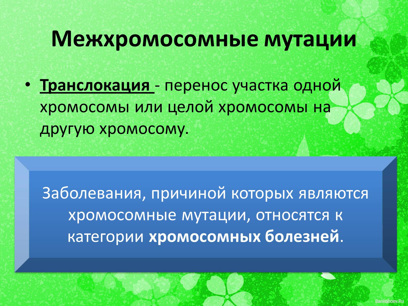 Презентація на тему «Мутационная изменчивость» - Слайд #15 Презентація на тему «Мутационная изменчивость» - Слайд #15