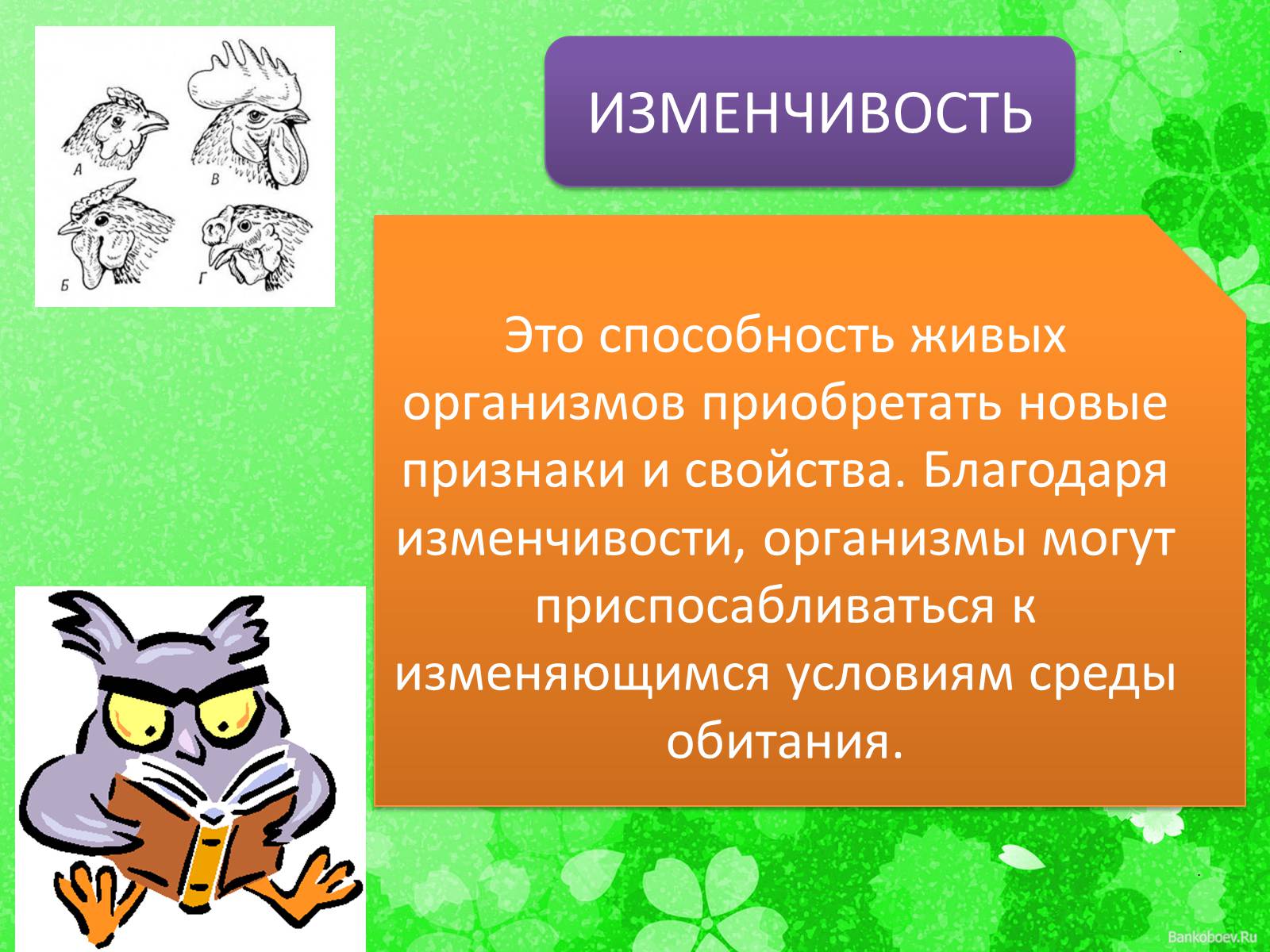 Презентація на тему «Мутационная изменчивость» - Слайд #2 Презентація на тему «Мутационная изменчивость» - Слайд #2