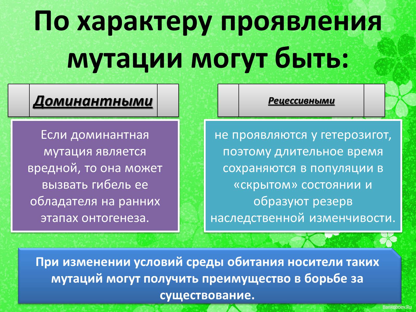 Презентація на тему «Мутационная изменчивость» - Слайд #9 Презентація на тему «Мутационная изменчивость» - Слайд #9