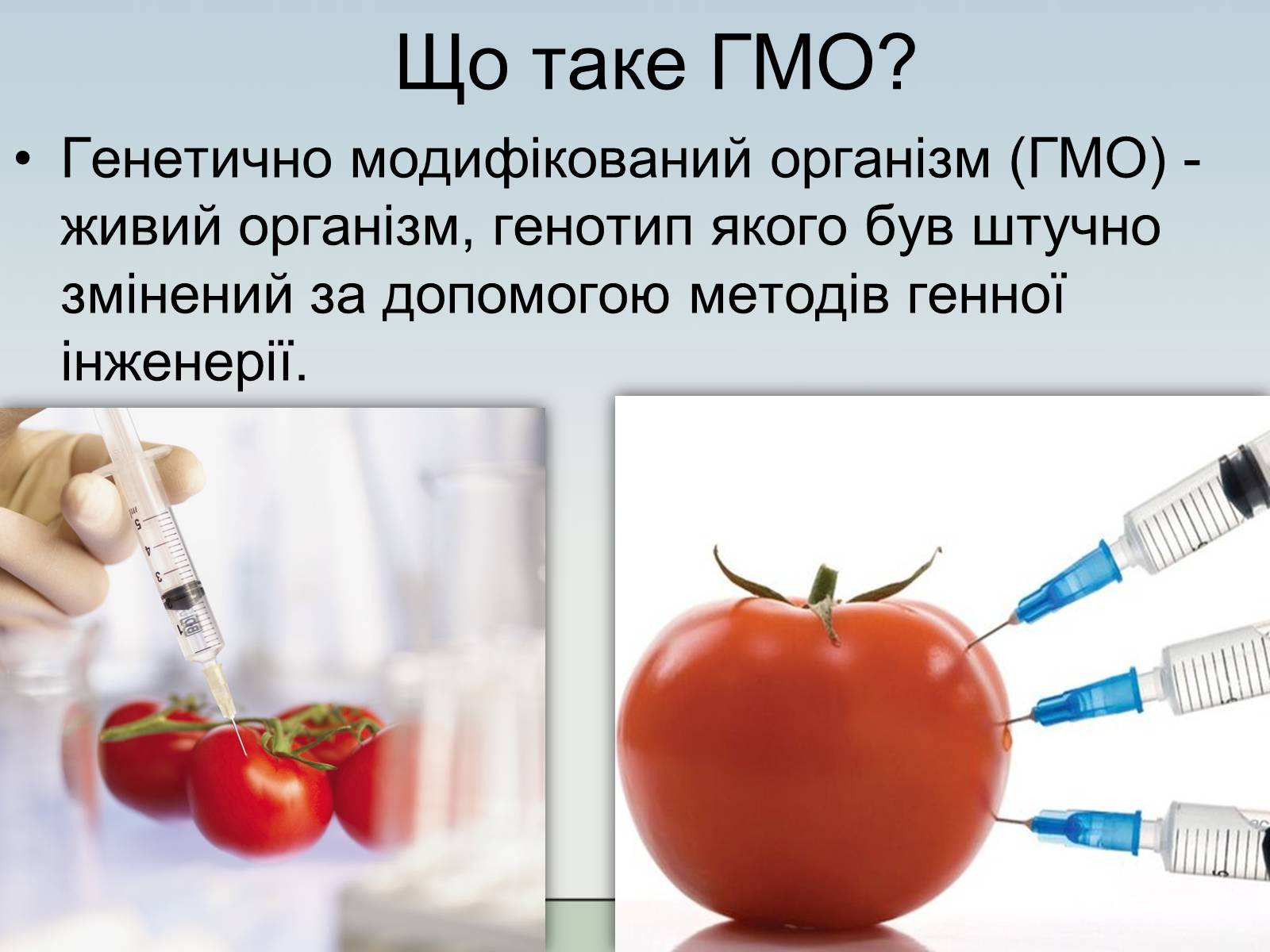 Презентація на тему «ГМО» (варіант 1) - Слайд #3 Презентація на тему «ГМО» (варіант 1) - Слайд #3